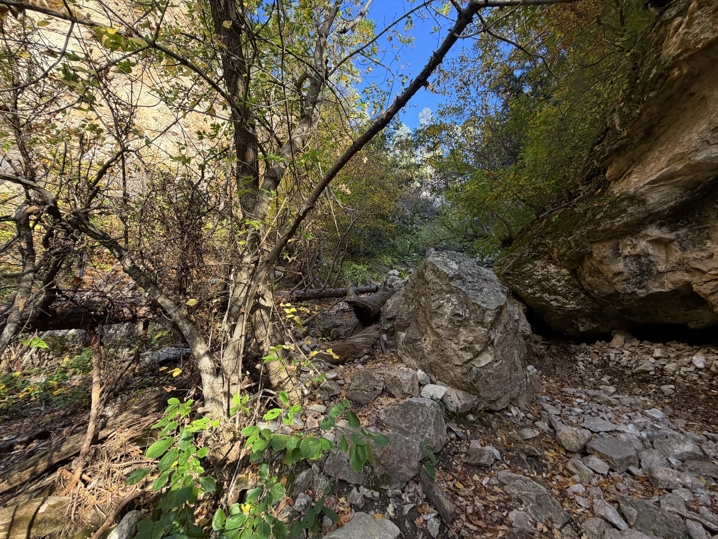 Community Caves Trail Spearfish Canyon Black Hills South Dakota