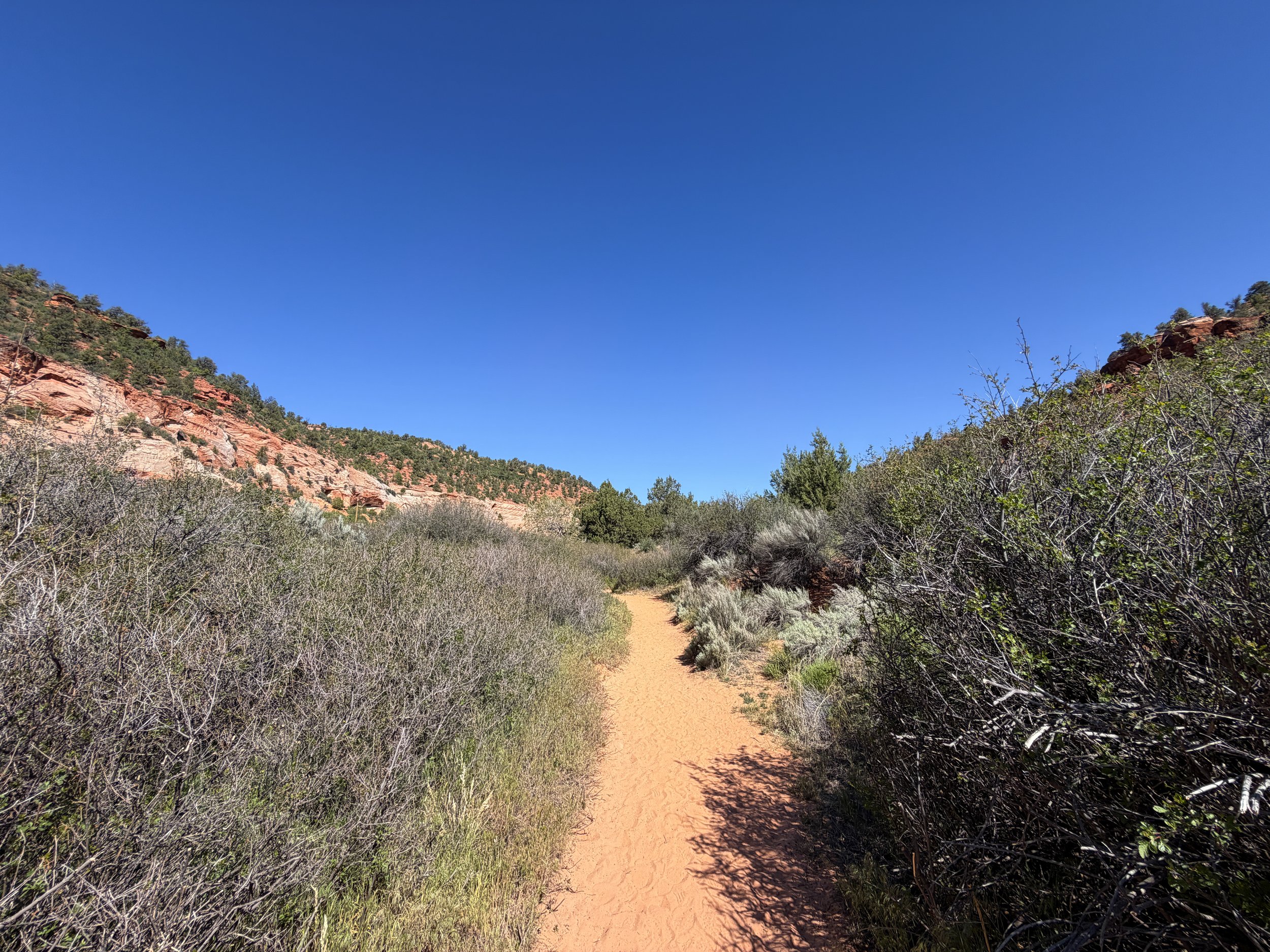 Sand Caves Trail Kanab Utah
