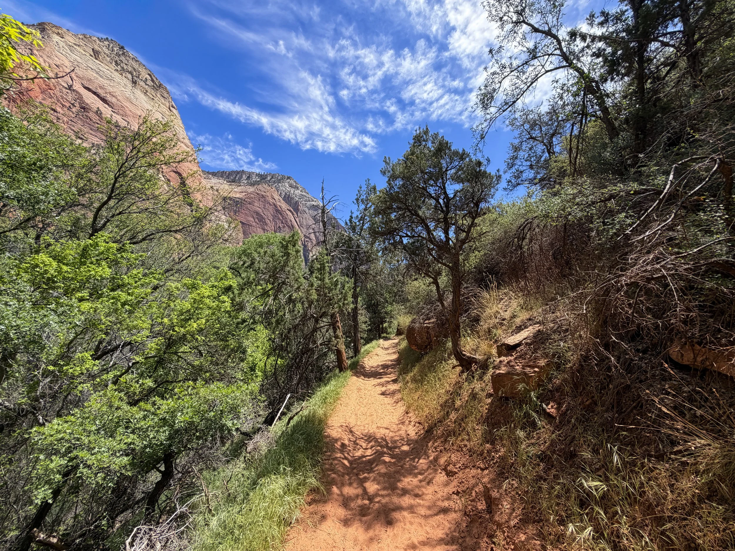 Sand Bench Trail Zion National Park Utah