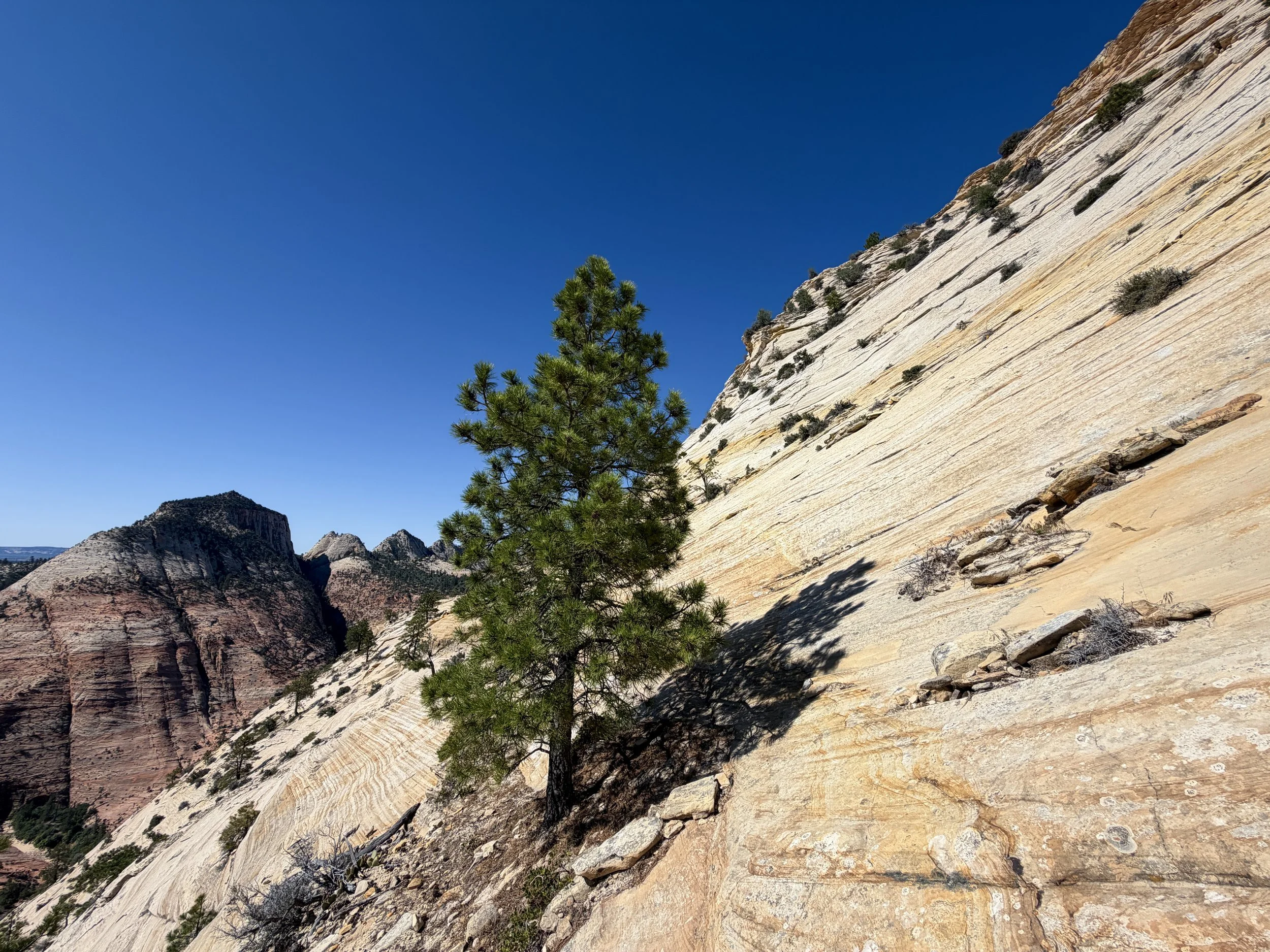 South Ariel Peak Hike Zion National Park Utah