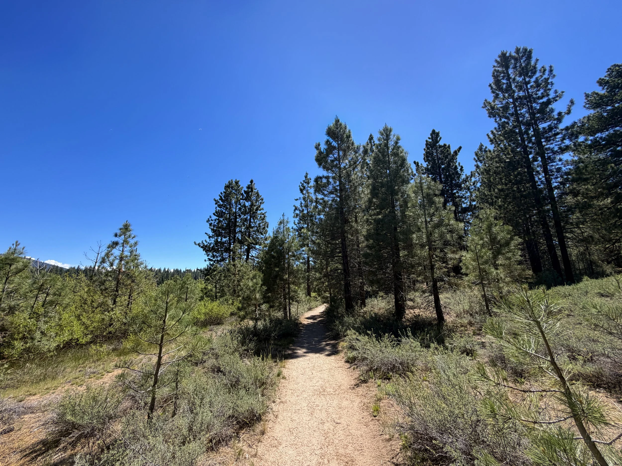 Spooner Lake Loop Trail Lake Tahoe Nevada