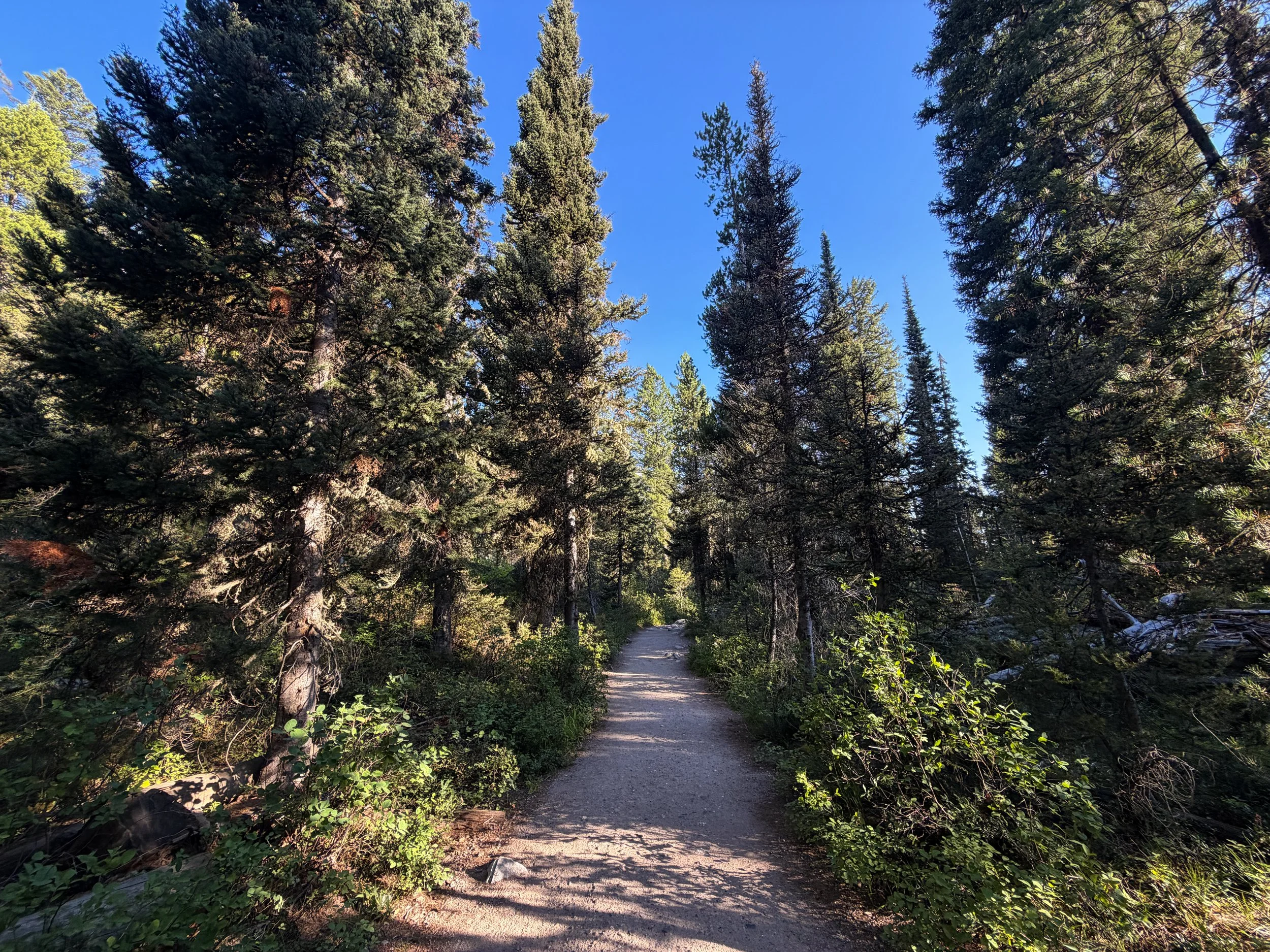 Hidden Falls via Jenny Lake Loop Trail Grand Teton National Park Wyoming