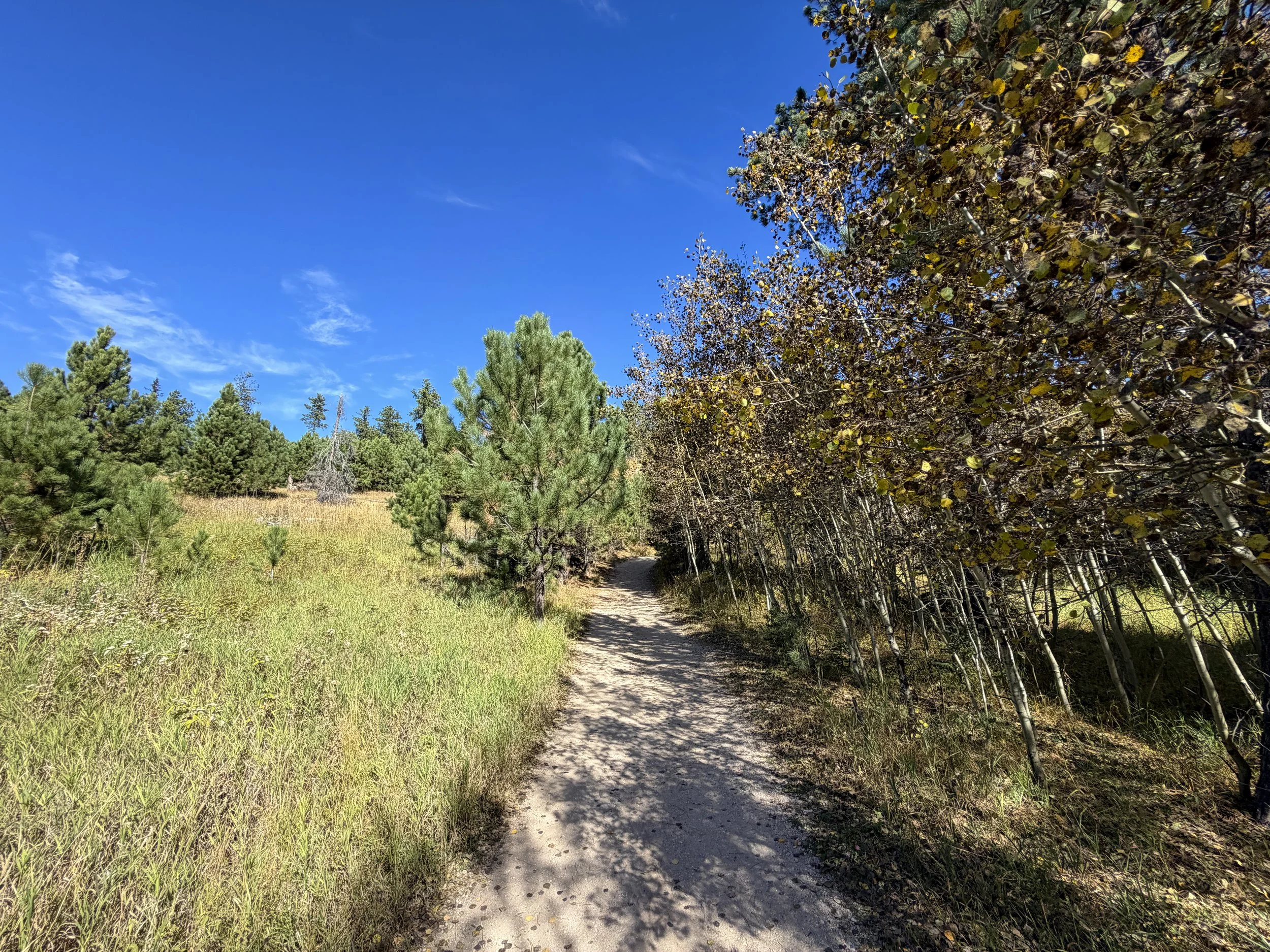 Black Elk Peak Trail Custer State Park Black Hills South Dakota