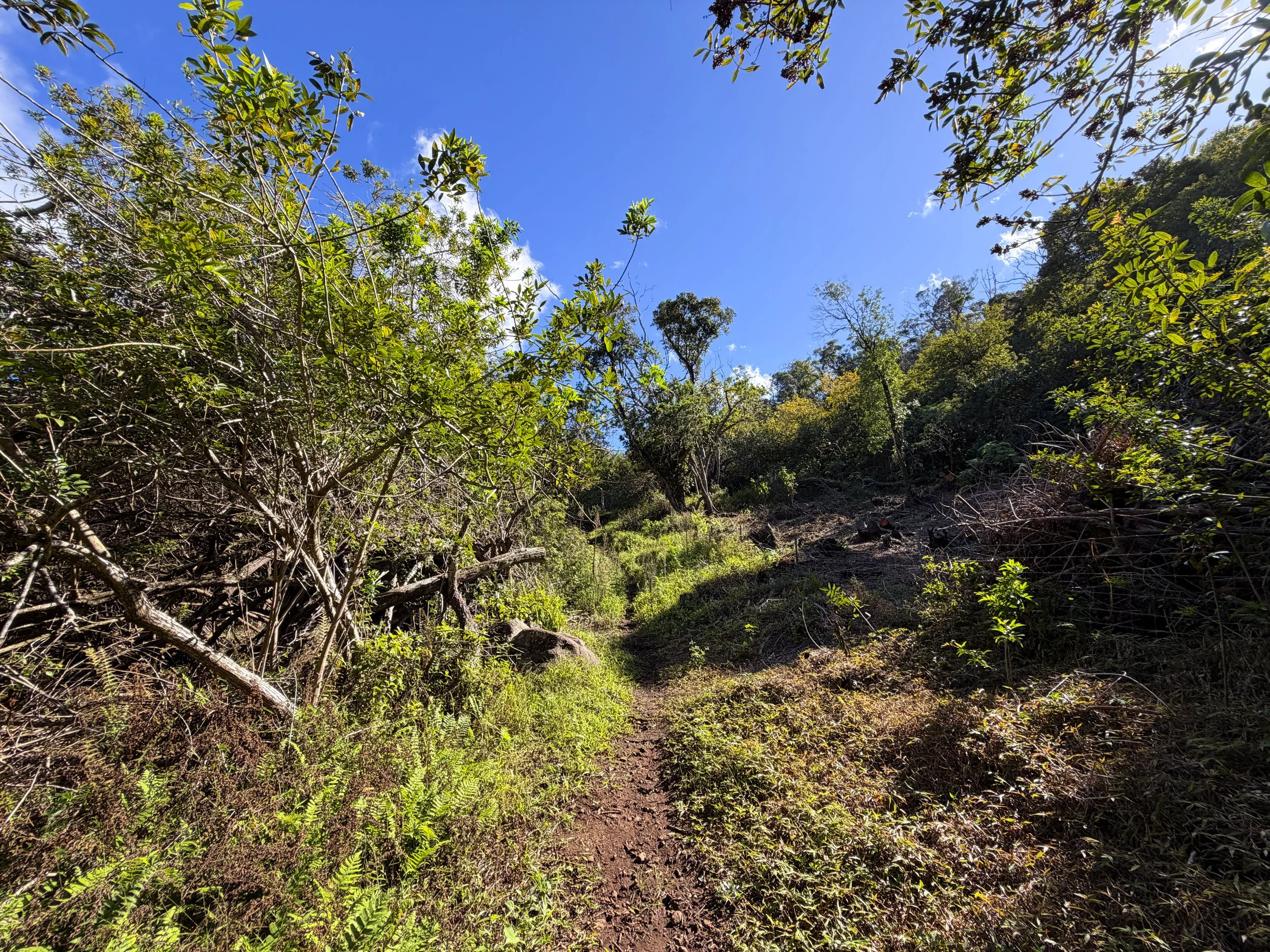Mokuleia Trail Oahu Hawaii