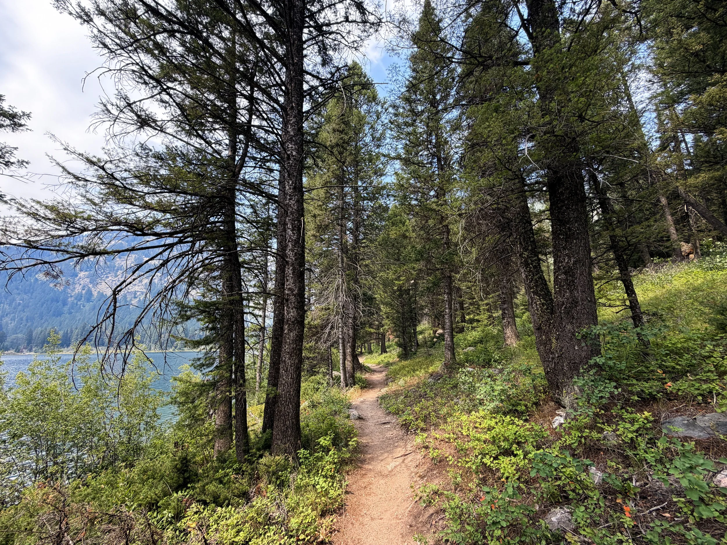 Phelps Lake Loop Trail Grand Teton National Park Wyoming