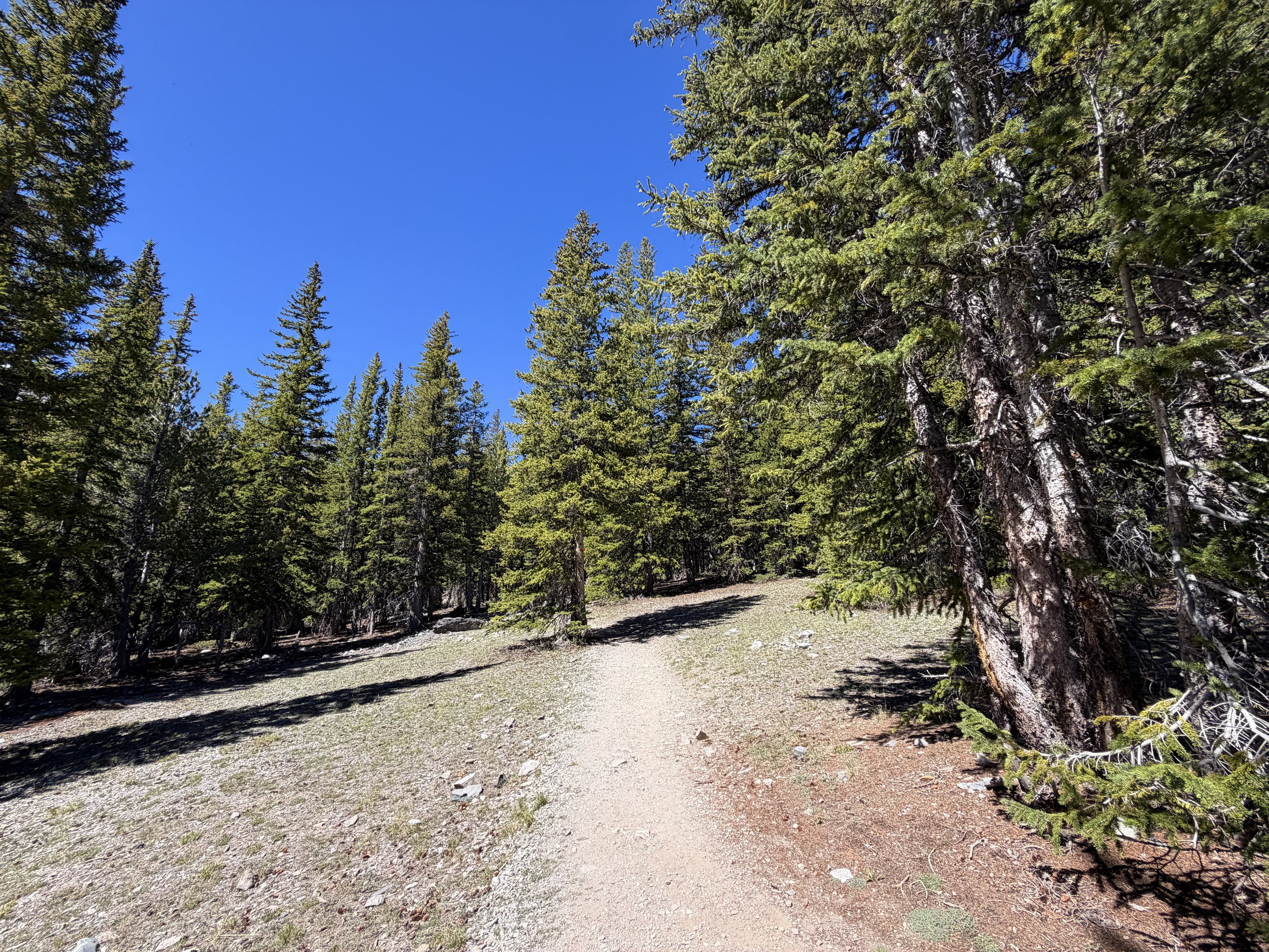 Alpine Lakes Loop Hike Great Basin National Park Nevada