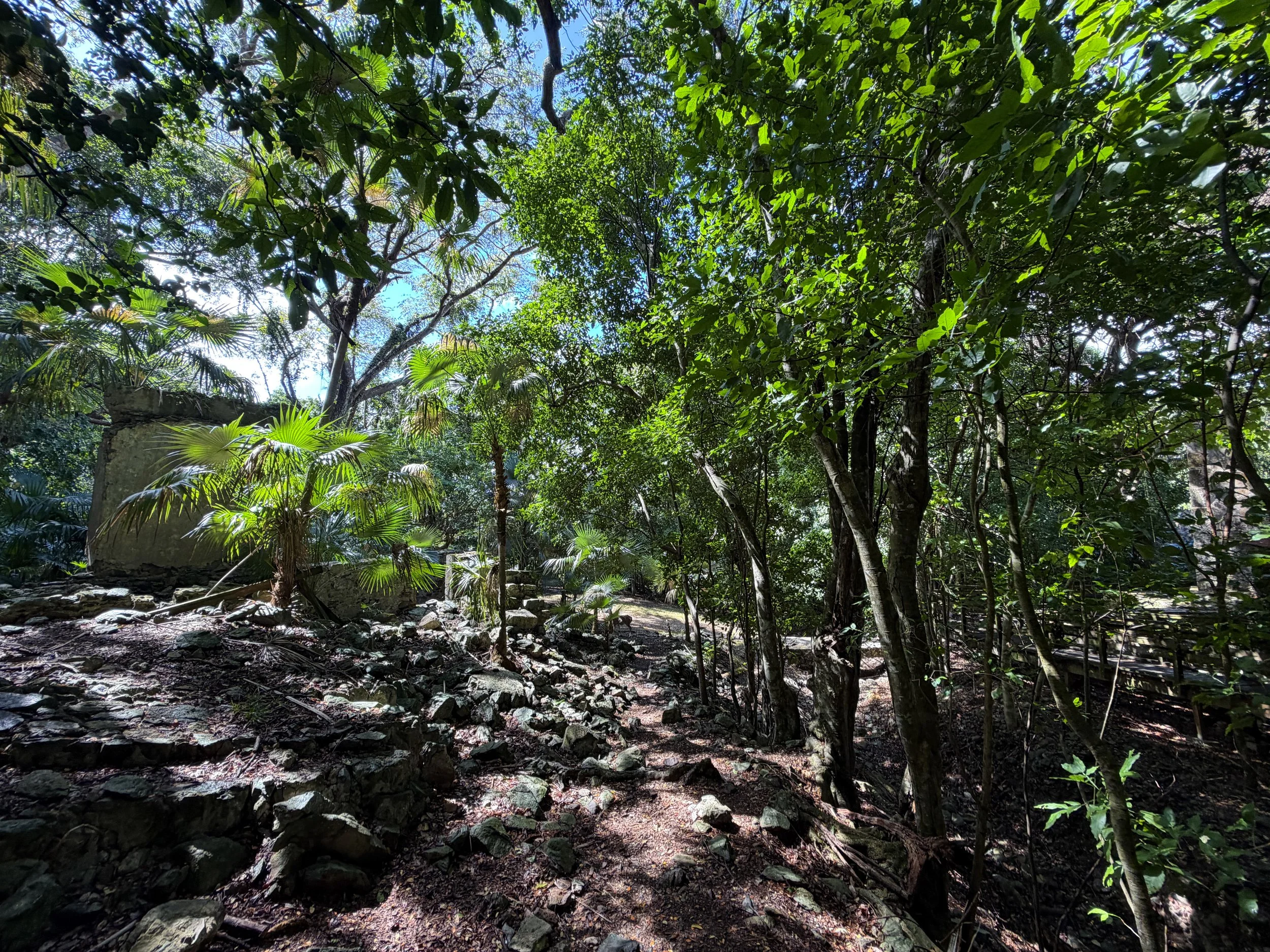 Cinnamon Bay Loop Trail Virgin Islands National Park