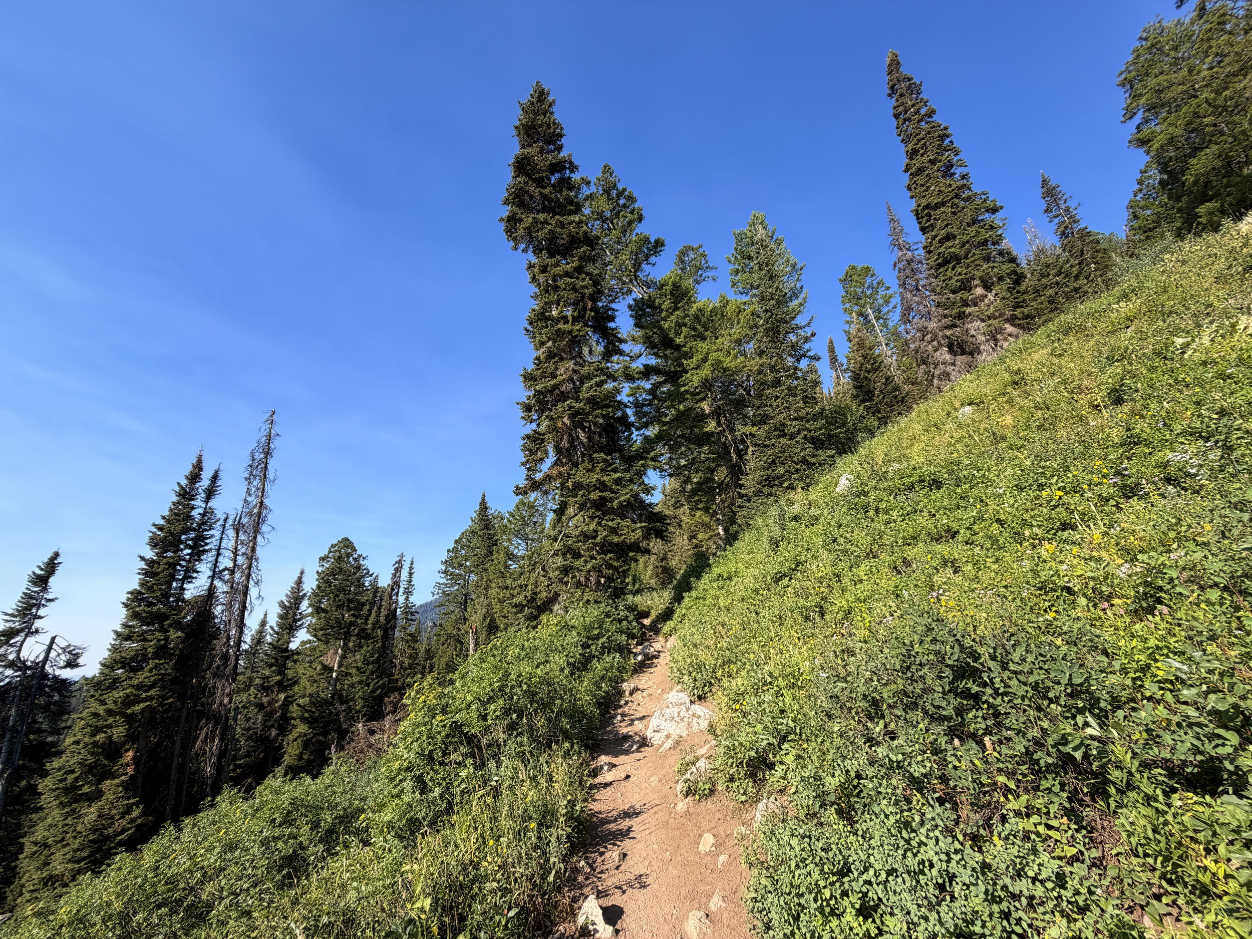 Delta Lake Trail Switchbacks Grand Teton National Park Wyoming