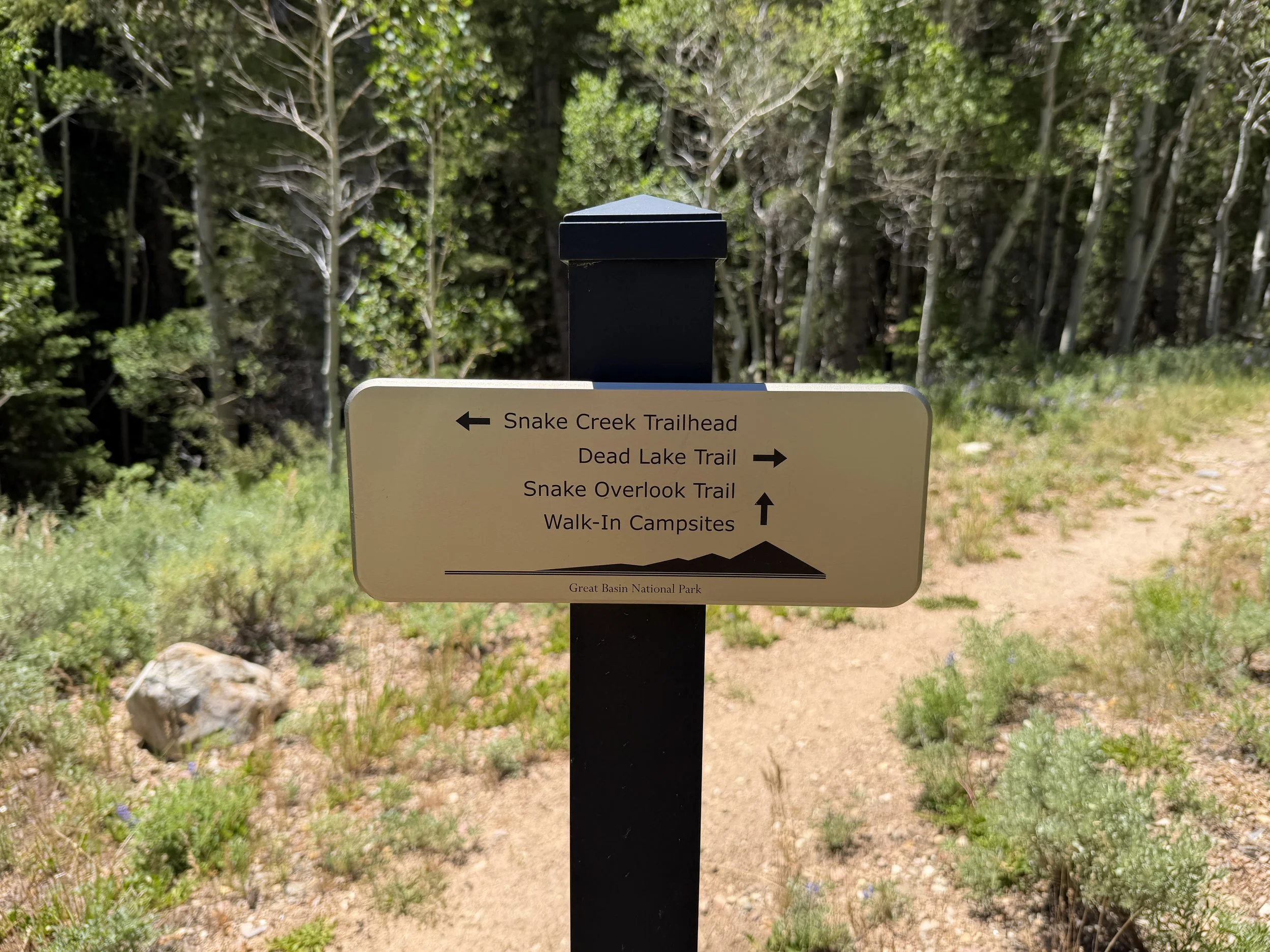 Dead Lake Trail Great Basin National Park Nevada