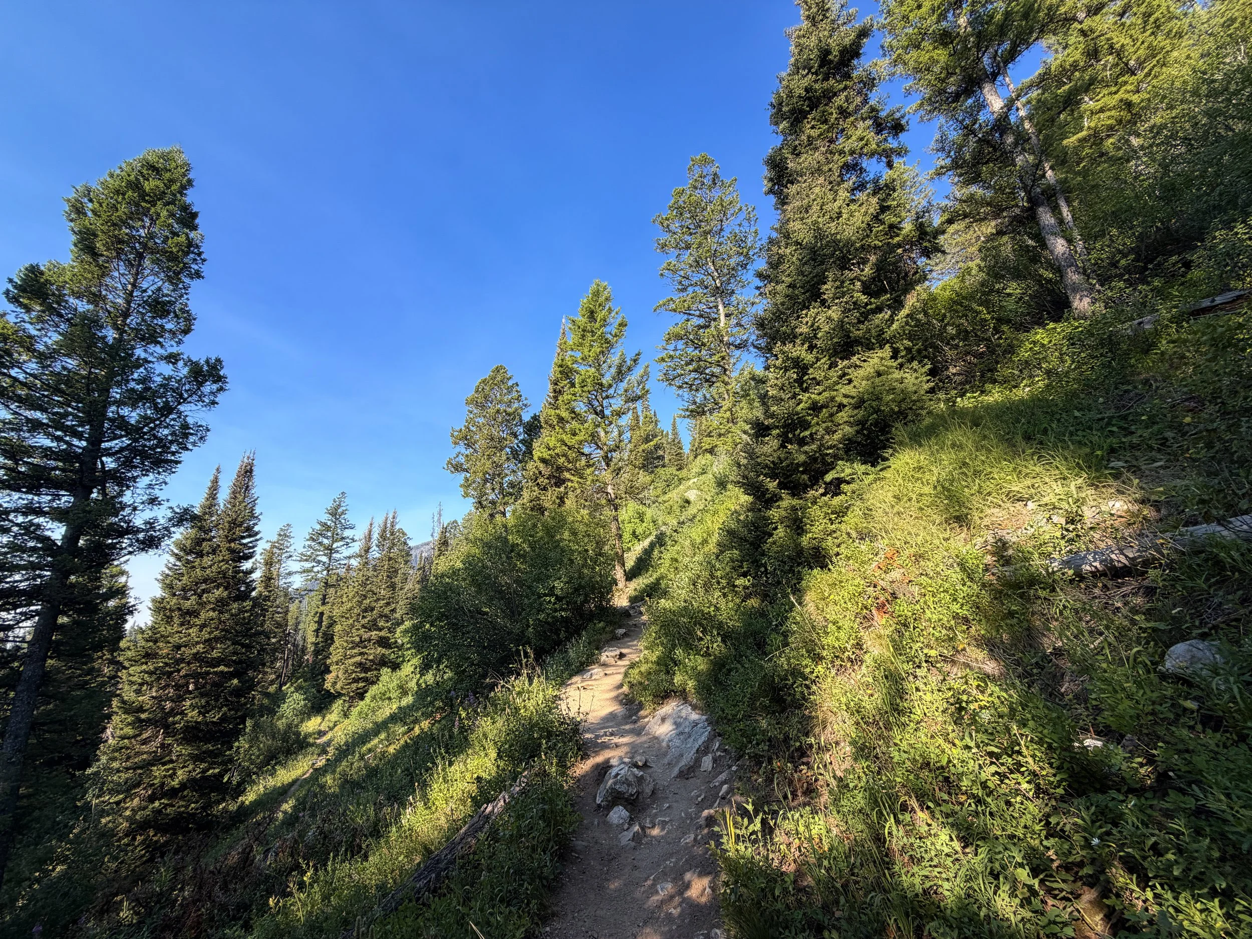 Delta Lake Trail Switchbacks Grand Teton National Park Wyoming