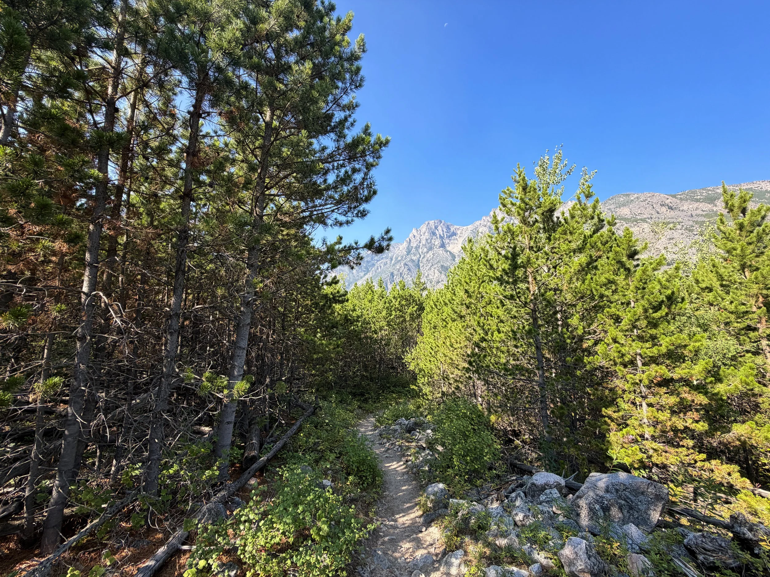 East Rosebud Trail Beartooth Mountains Montana