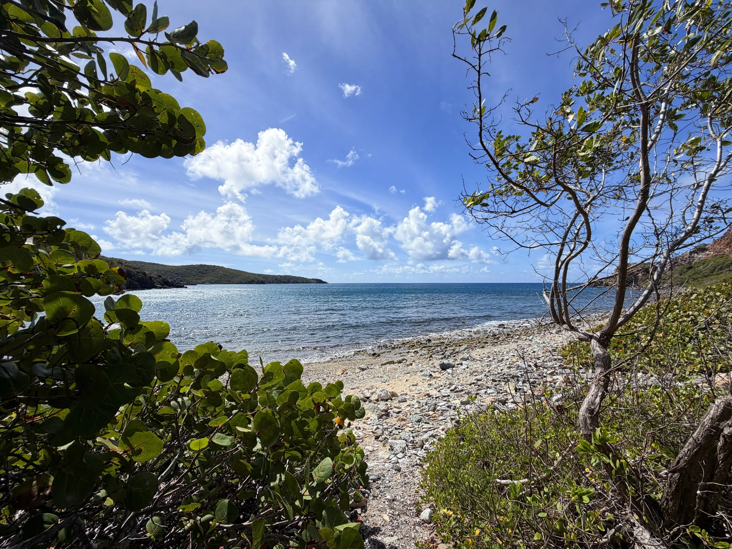 Europa Bay Lameshur Bay Trail Virgin Islands National Park