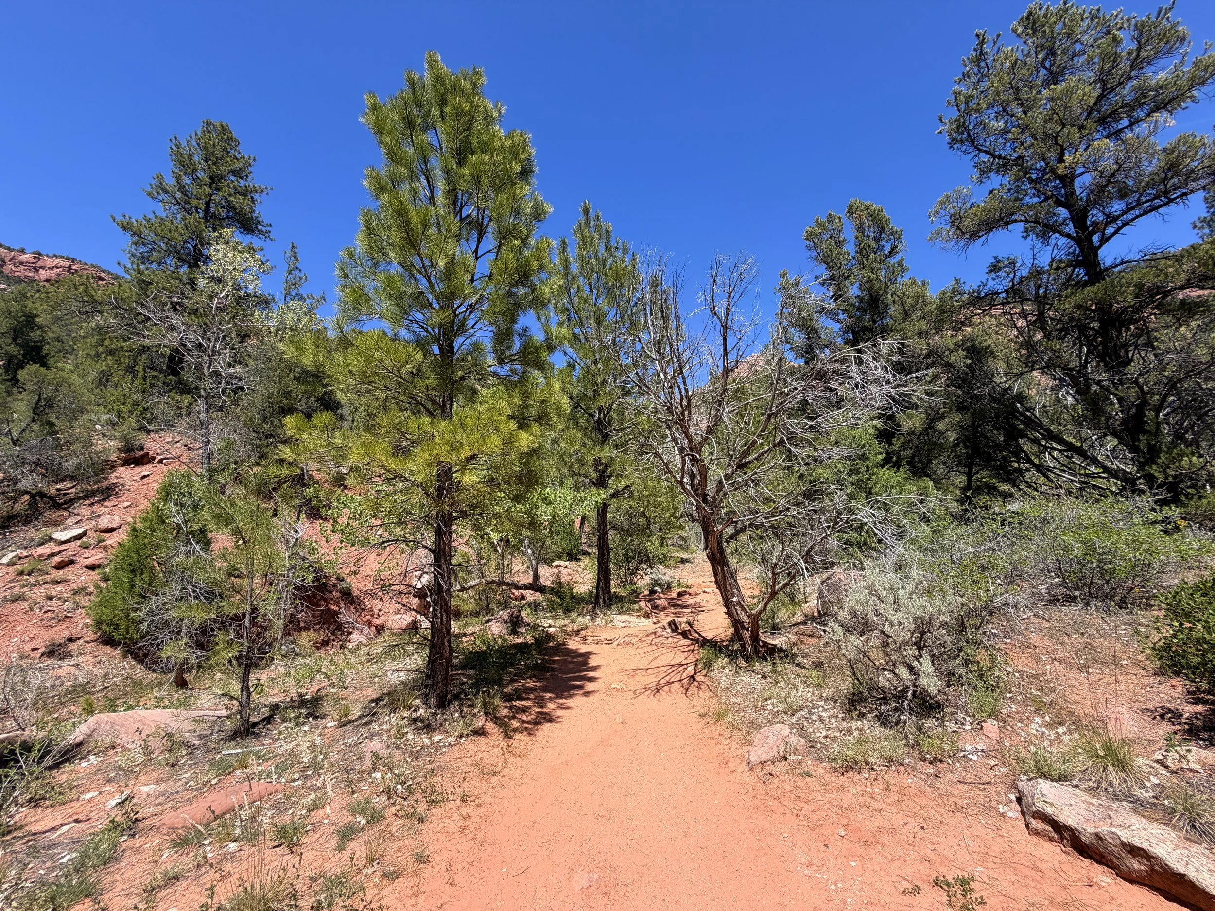 Middle Taylor Creek Trail Zion National Park Utah