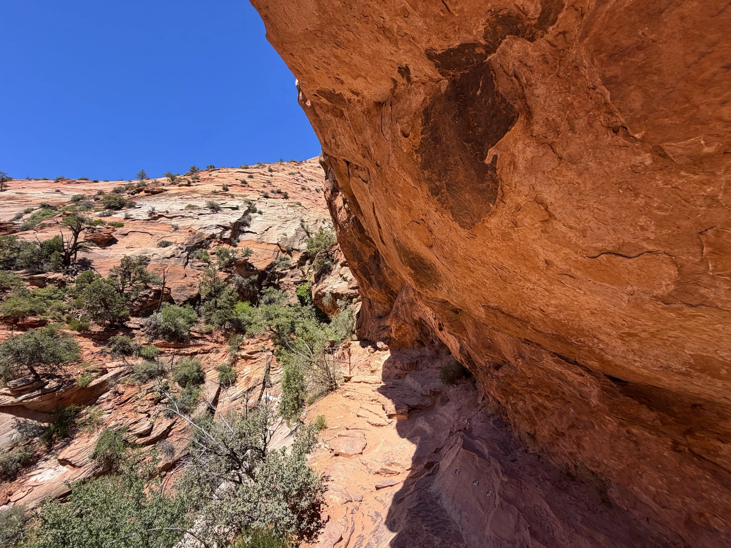 Canyon Overlook Trail Zion National Park Utah