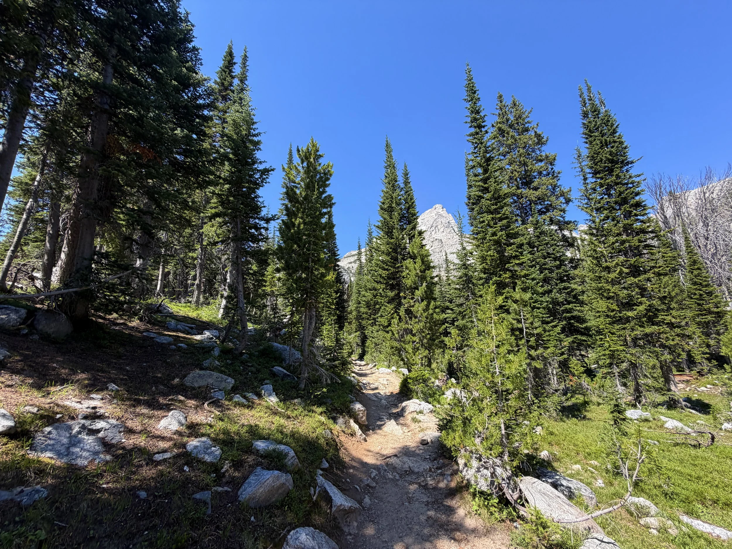 Surprise and Amphitheater Lakes Hike Grand Teton National Park Wyoming