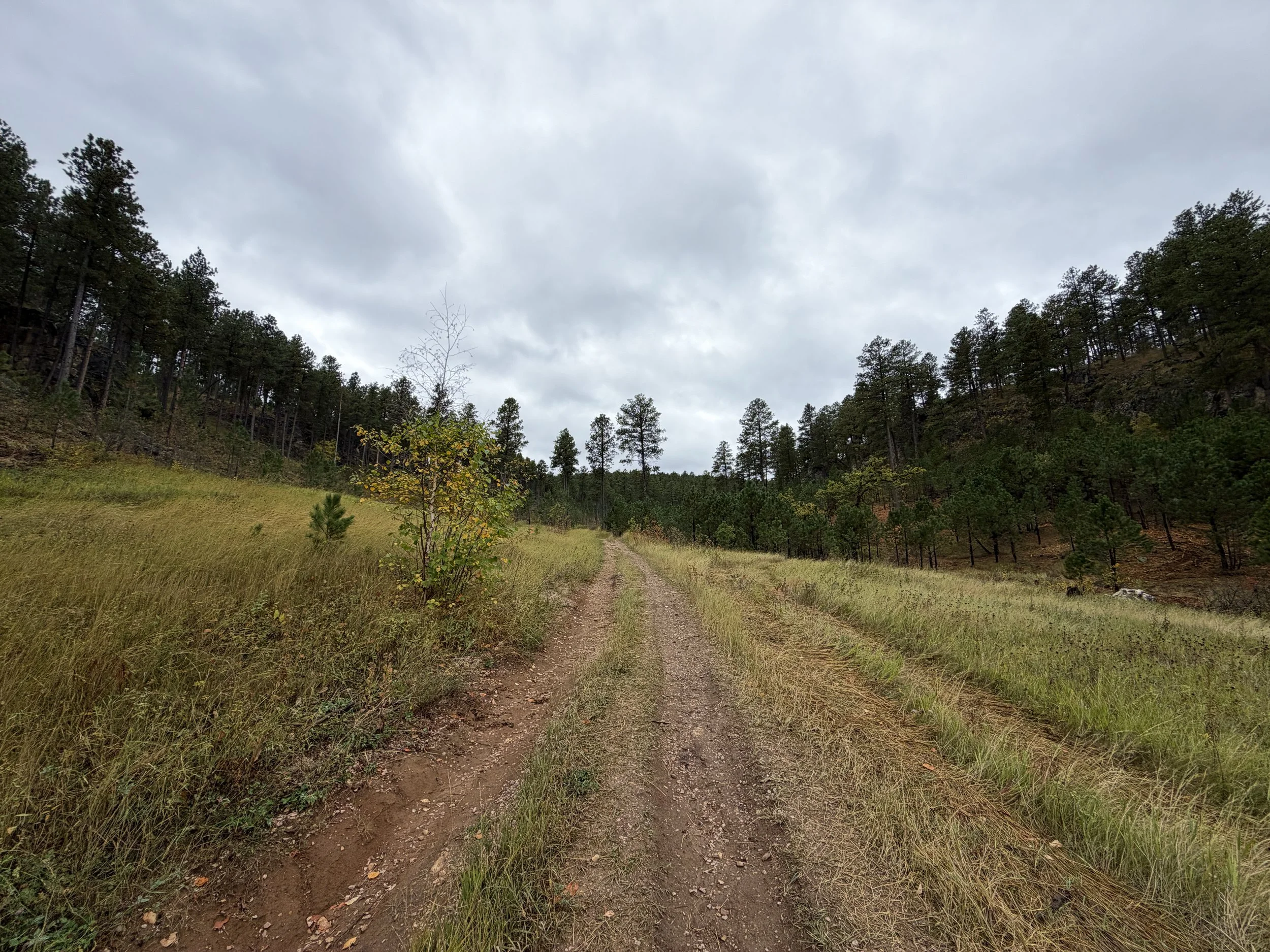 Buzzards Roost Trail Black Hills South Dakota
