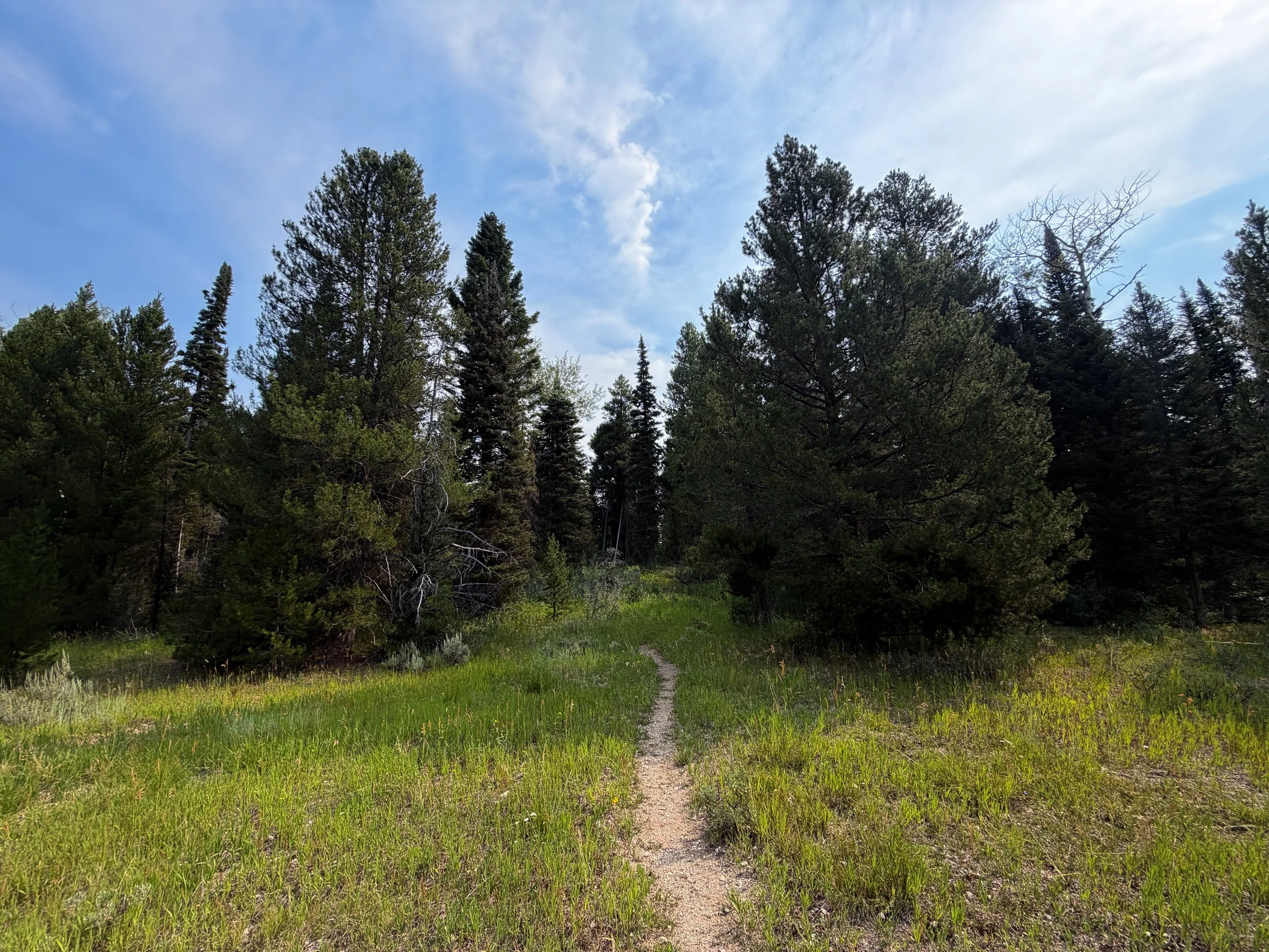 Aspen Ridge Trail Grand Teton National Park Wyoming