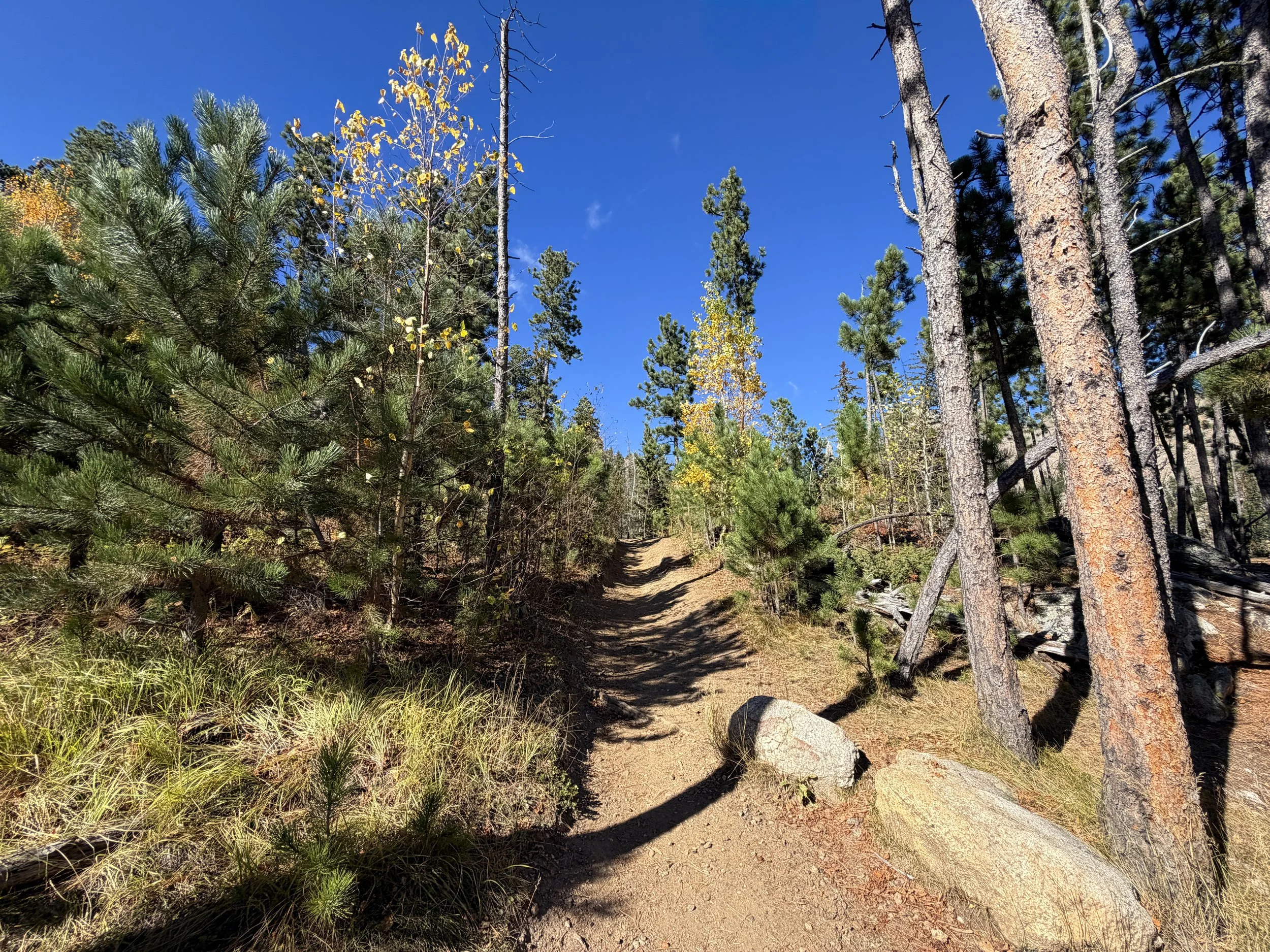 Cathedral Spires Trail Custer State Park Black Hills South Dakota