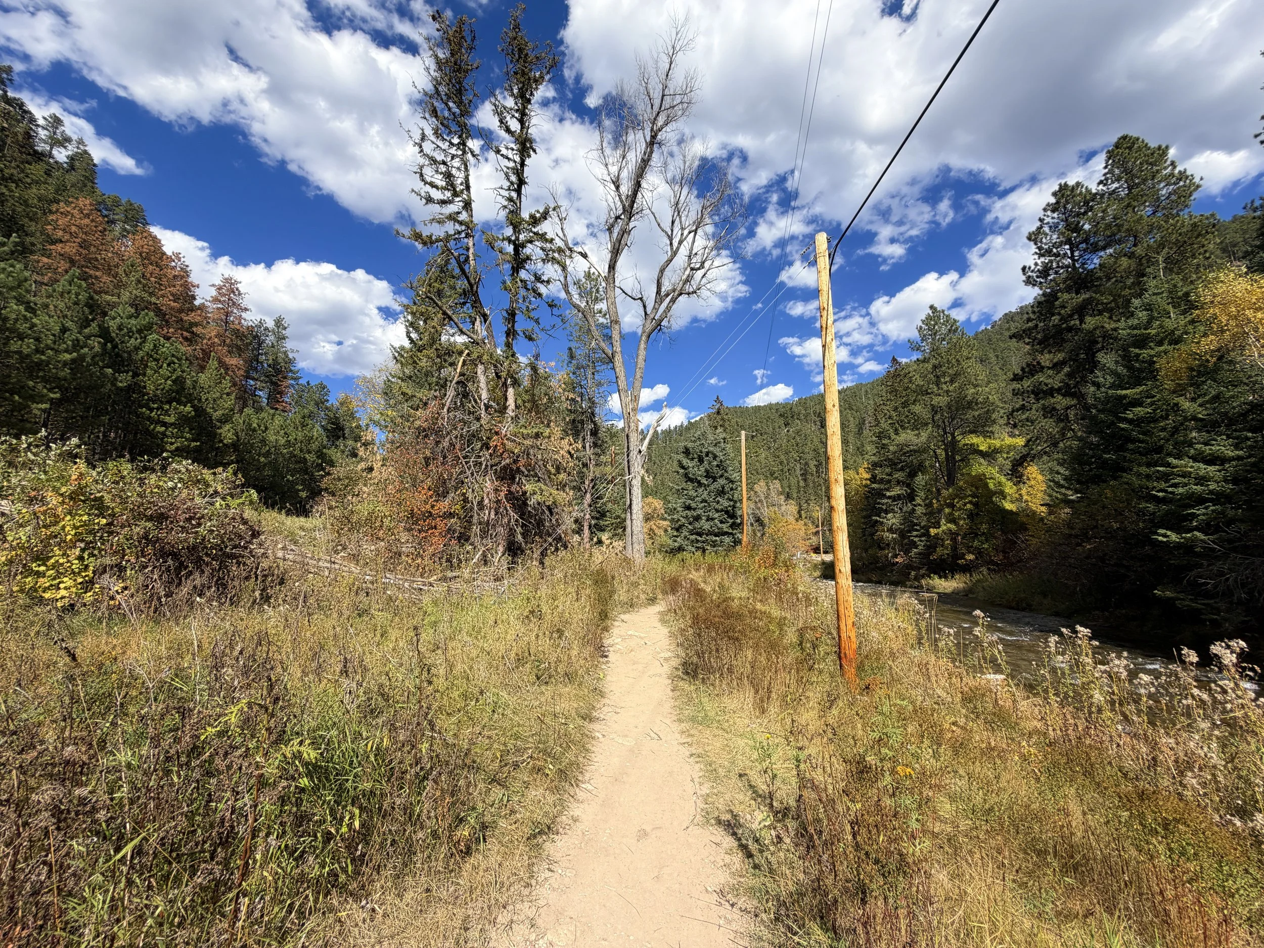 Devils Bathtub Trail Spearfish Canyon Black Hills South Dakota