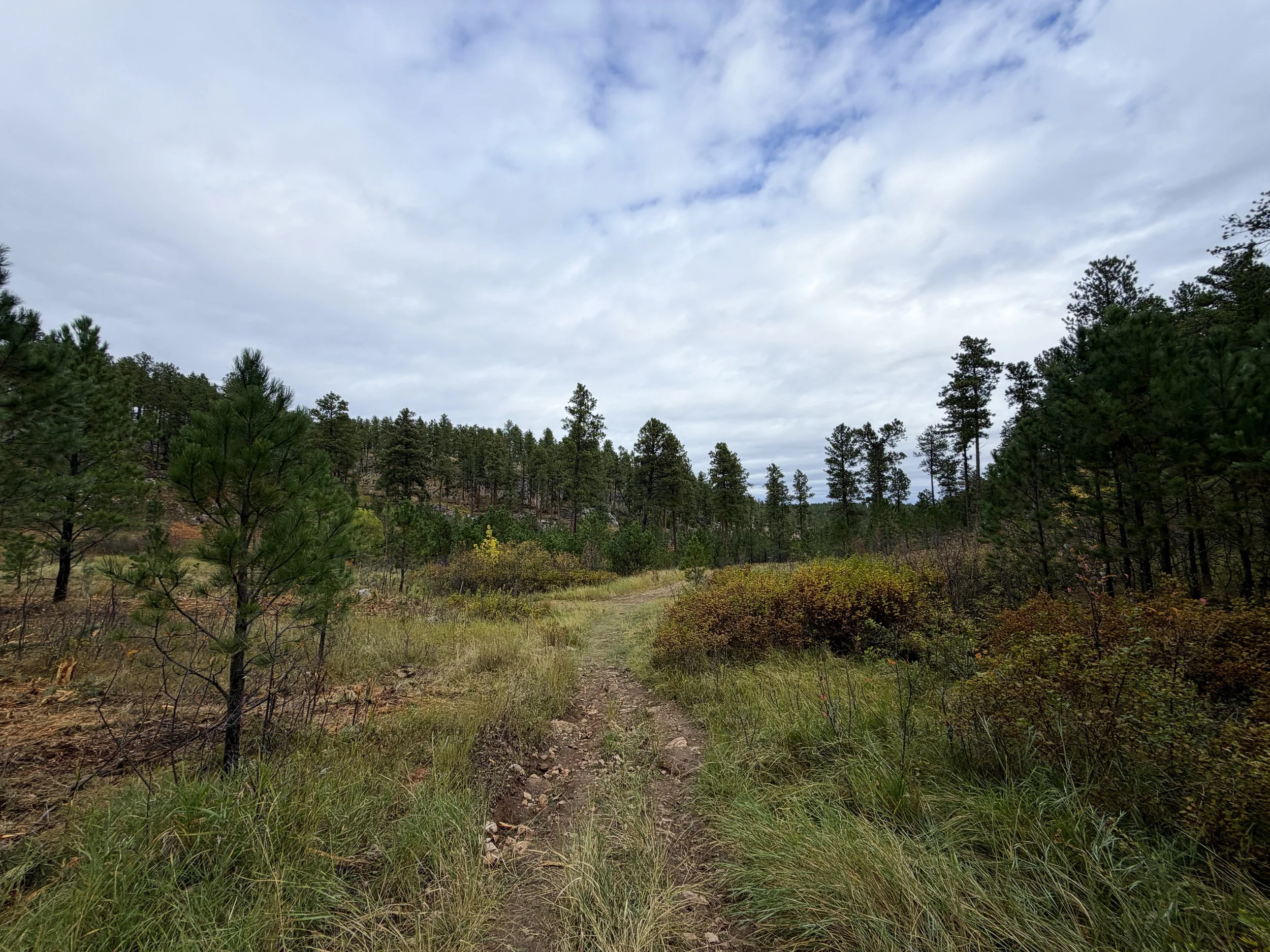 Buzzards Roost Trail Black Hills Rapid City South Dakota