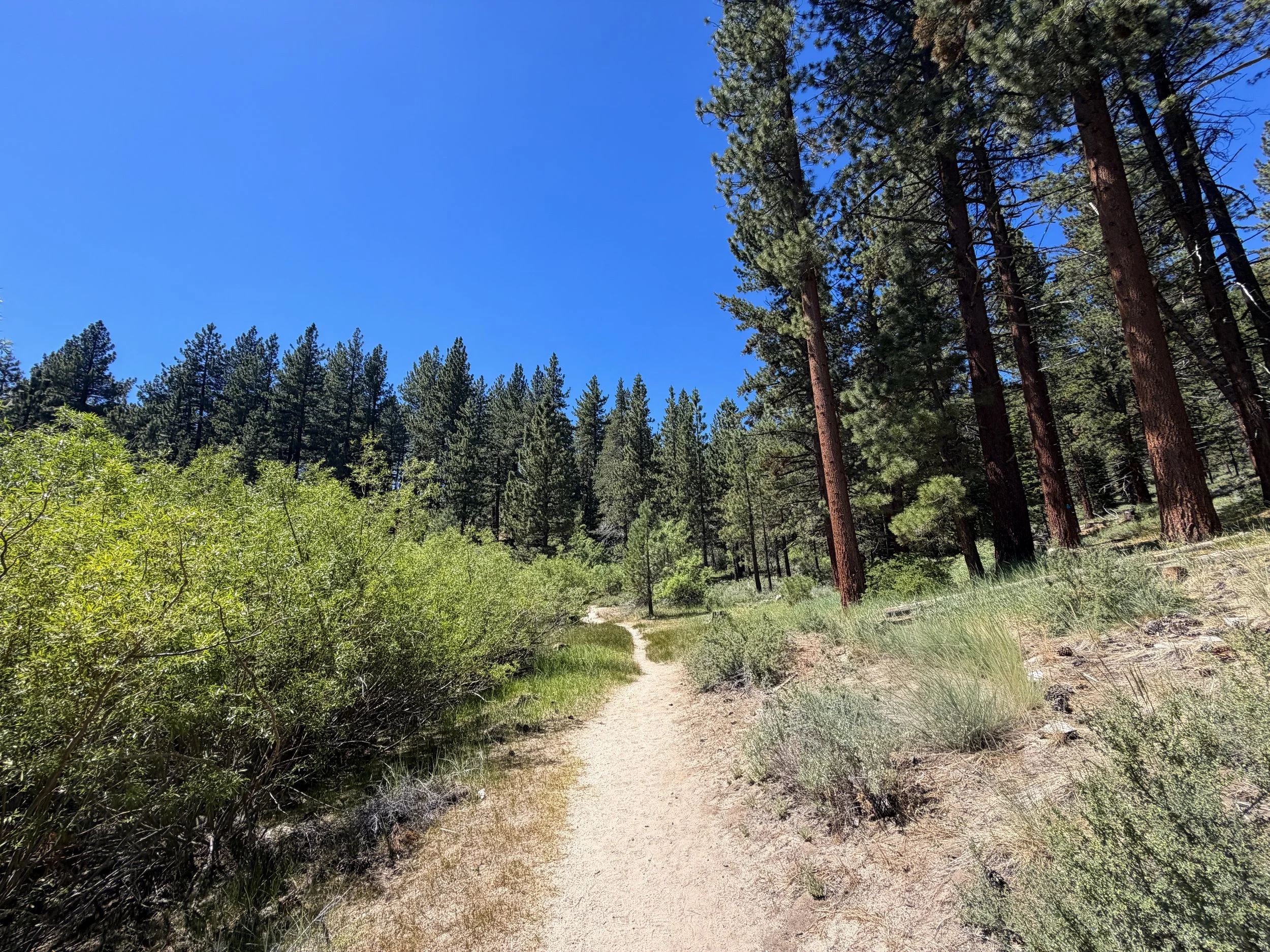 Spooner Lake Loop Trail Lake Tahoe Nevada