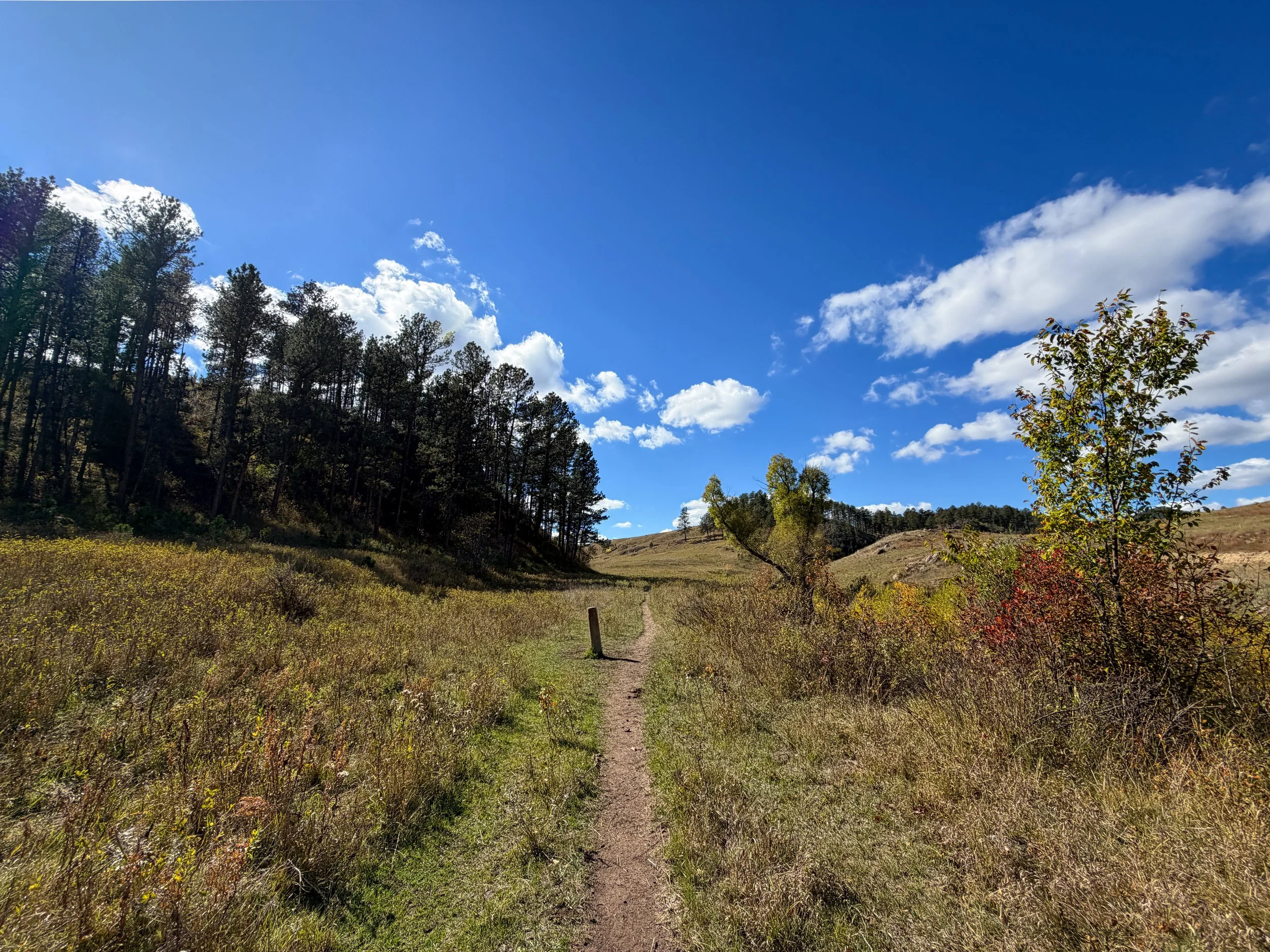Lookout Point Loop Trail Wind Cave National Park South Dakota