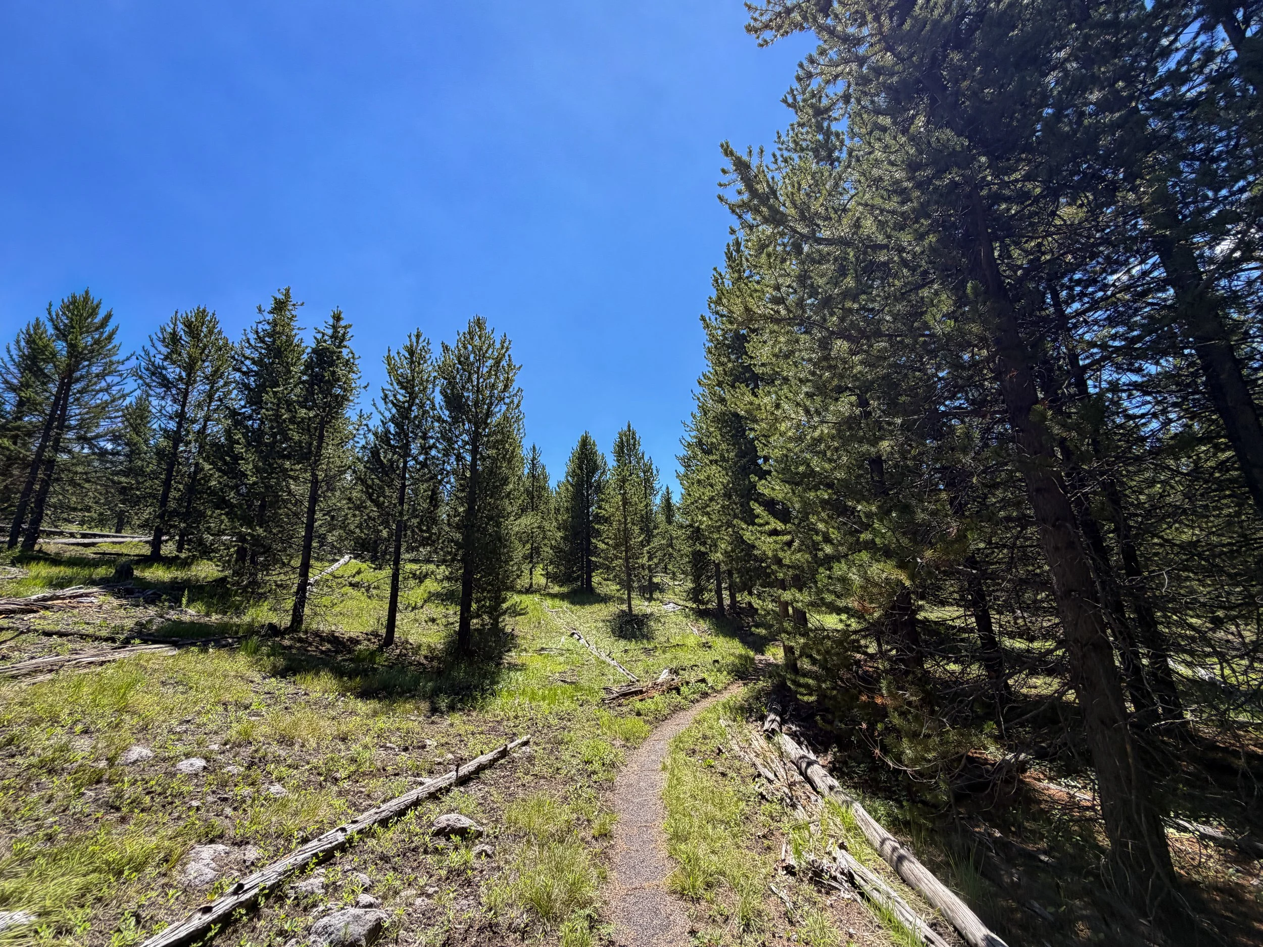 Fern Cascades Loop Trail Yellowstone National Park Wyoming