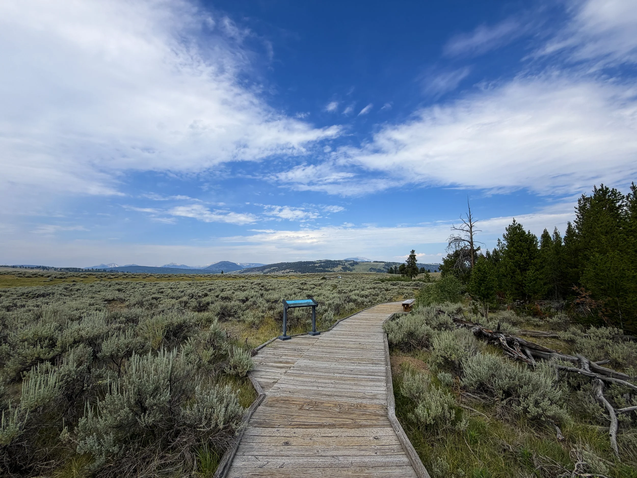 Forces of the Northern Range Trail Yellowstone National Park Wyoming