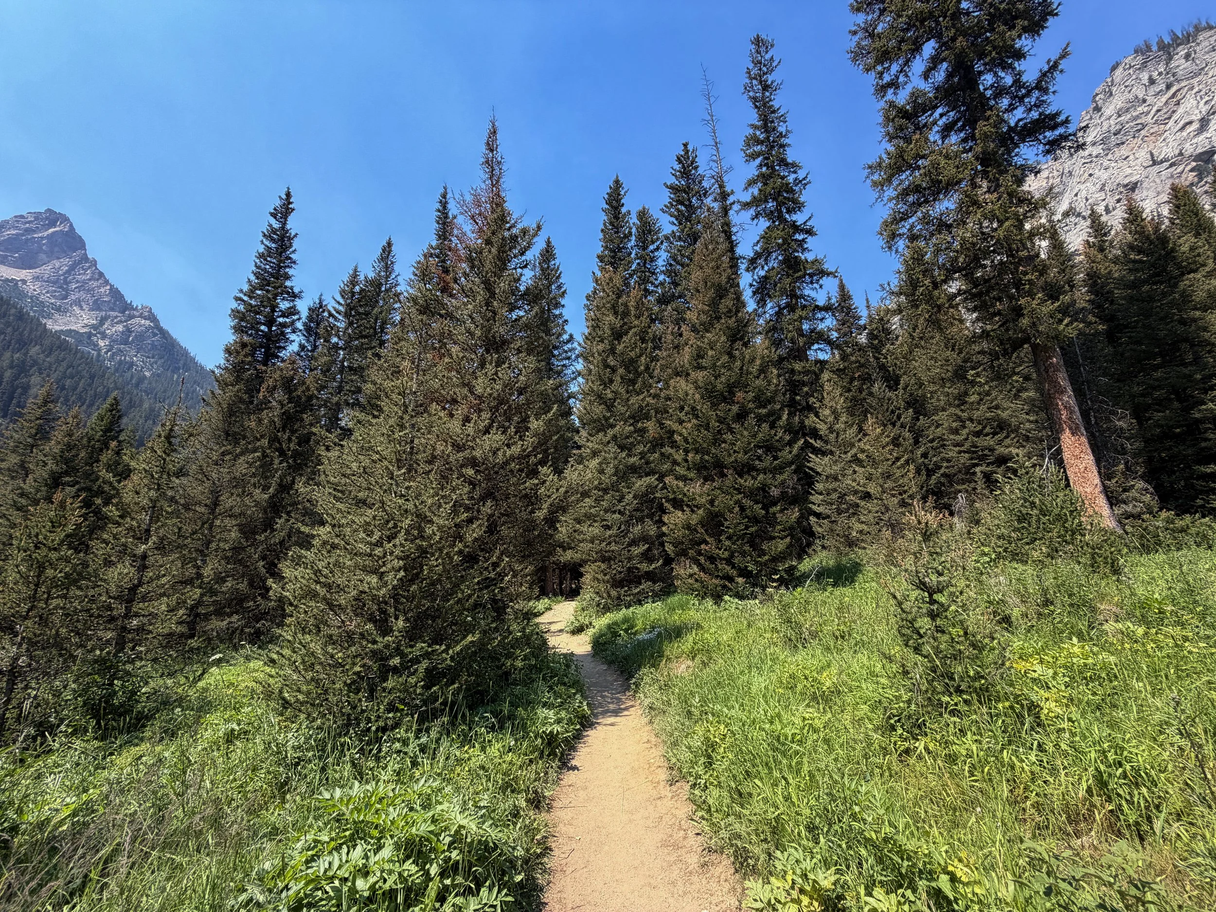 Cascade Canyon Hike Grand Teton National Park Wyoming