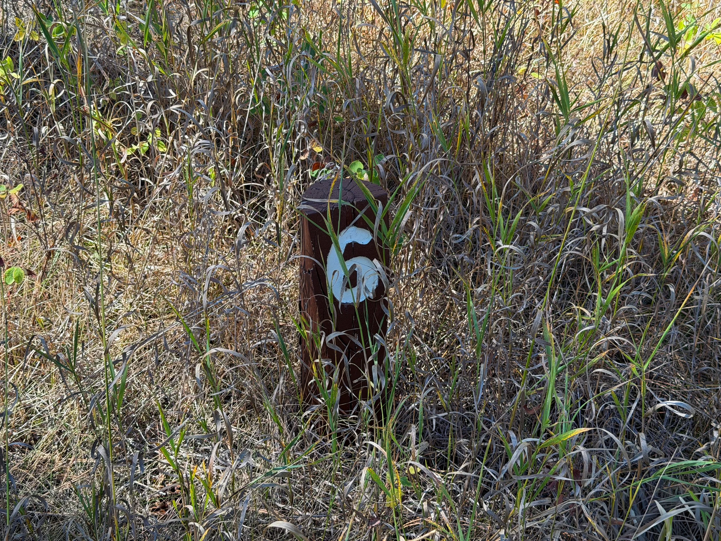 Elk Mountain Campground Loop Trail Wind Cave National Park South Dakota