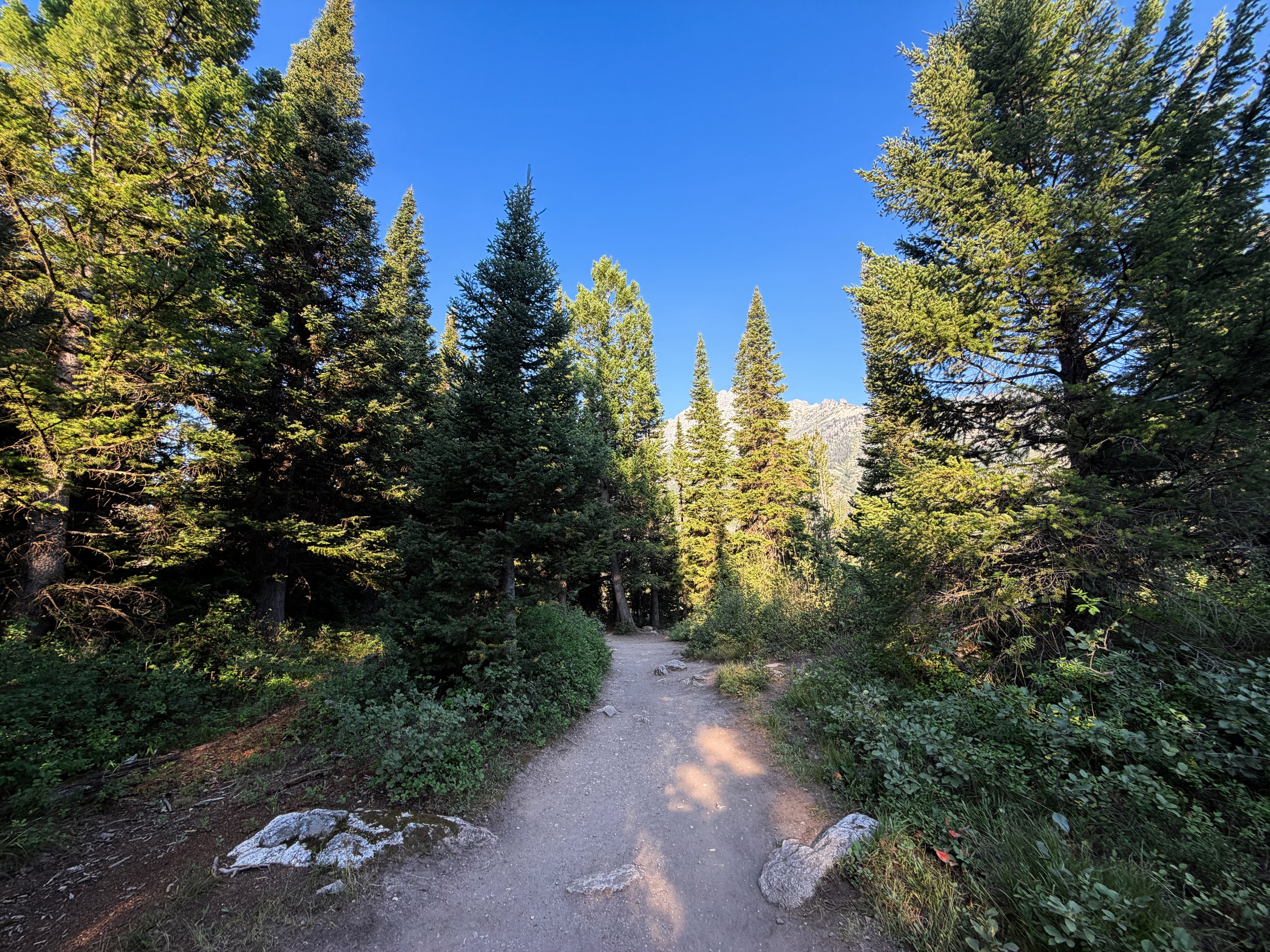 Hidden Falls Trail via Jenny Lake Grand Teton National Park Wyoming
