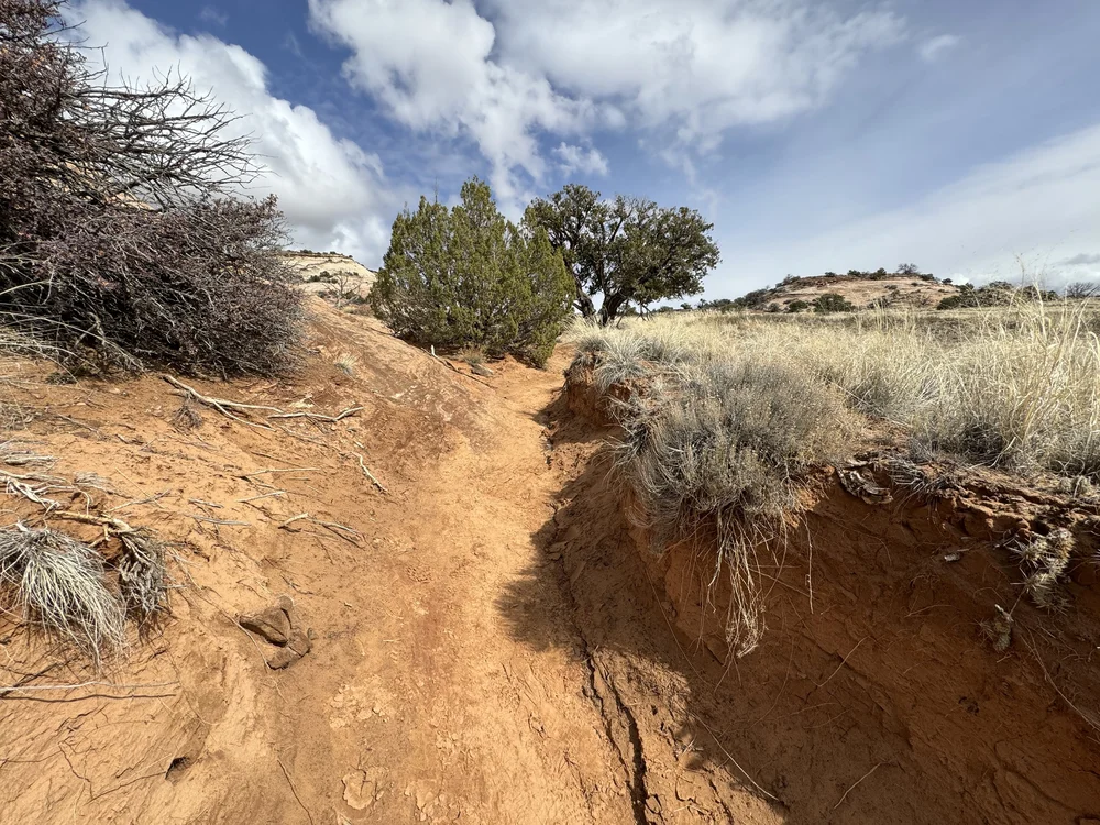 Hiking the Aztec Butte Trail in Canyonlands National Park — noahawaii
