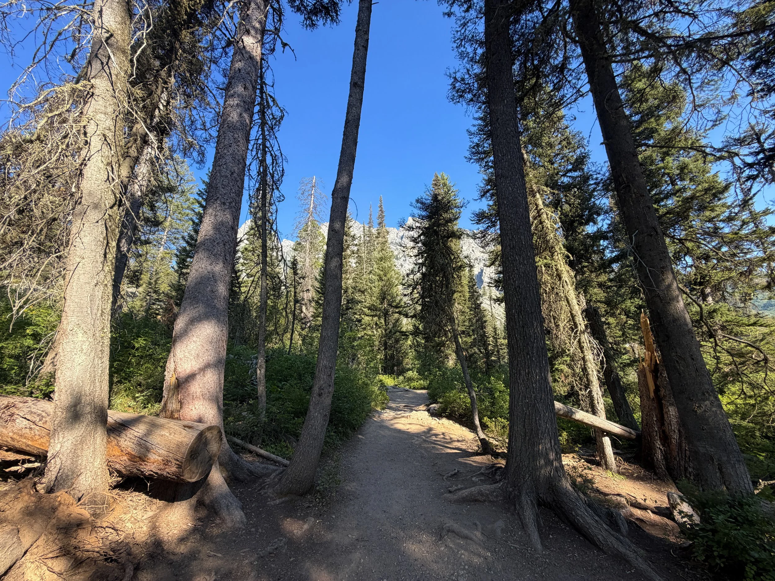 Hidden Falls Trail Grand Teton National Park Wyoming