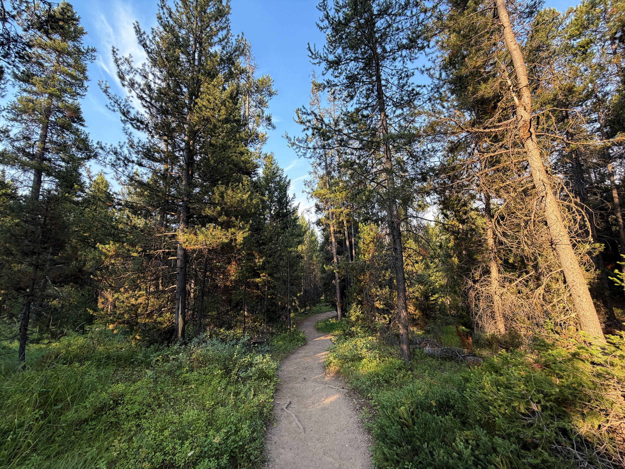 Boulder Ridge Loop Trail Grand Teton National Park Wyoming