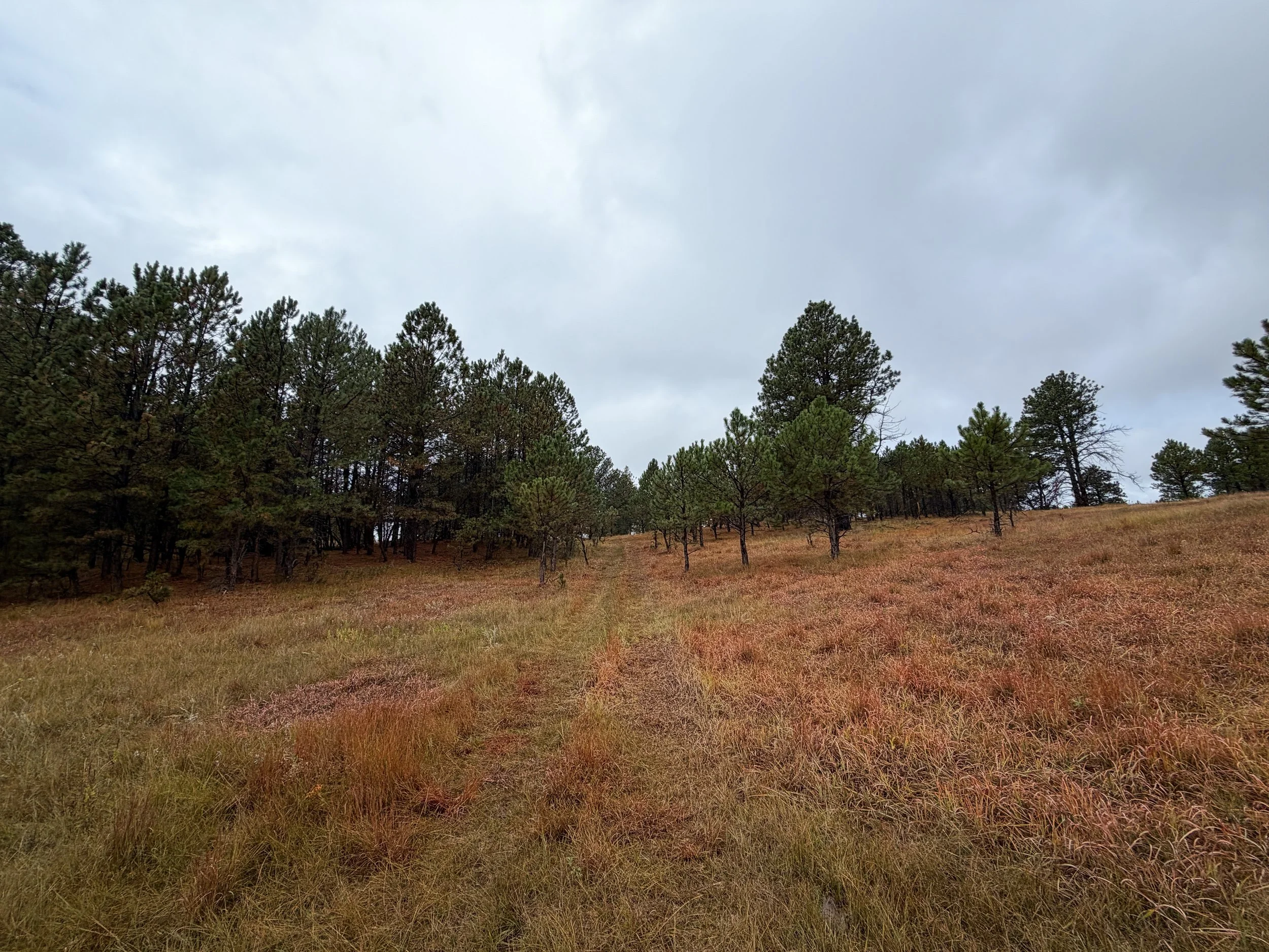 Highland Creek to Wind Cave Canyon Trail Wind Cave National Park South Dakota