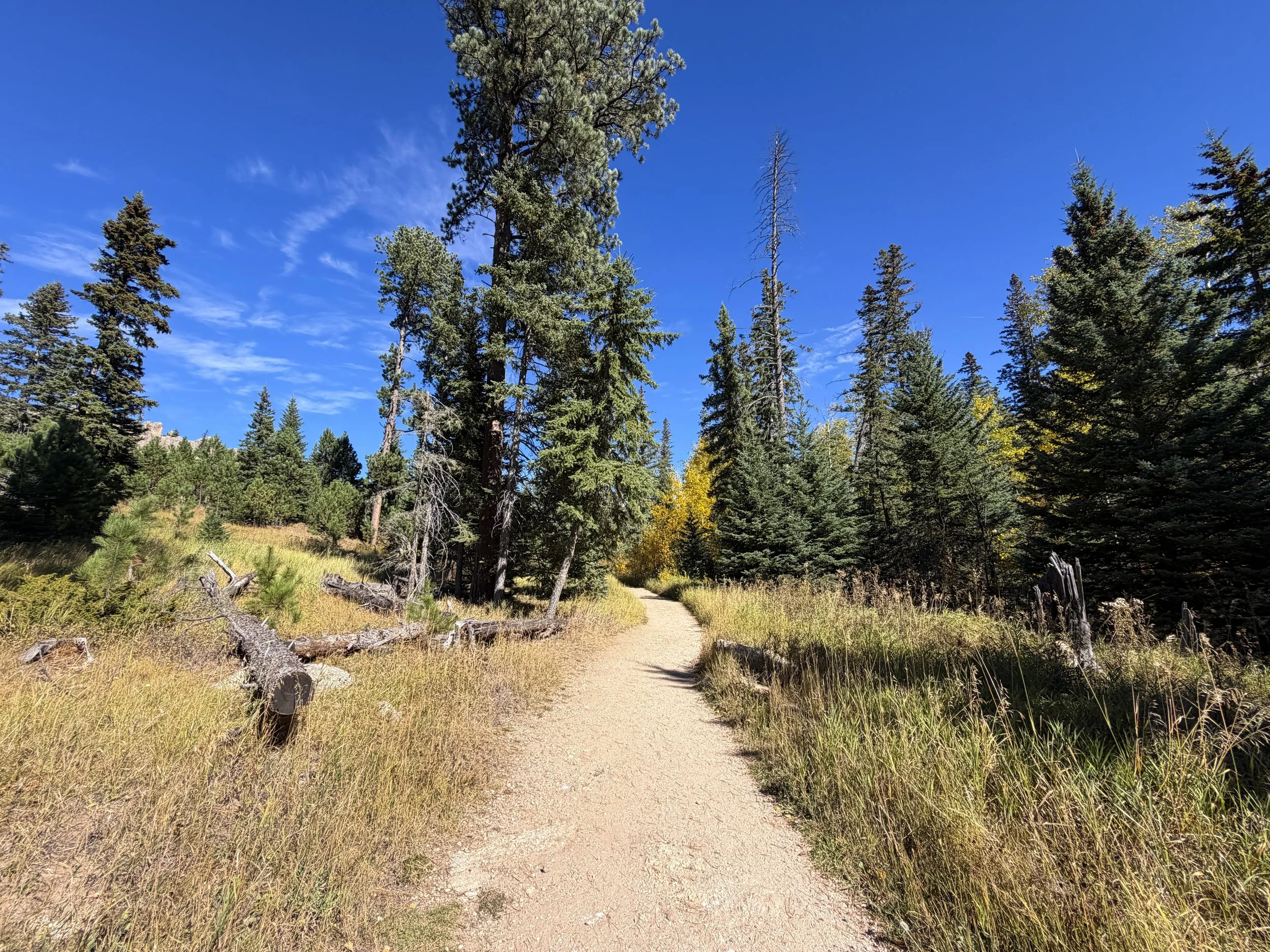 Black Elk Peak Trail Custer State Park Black Hills South Dakota