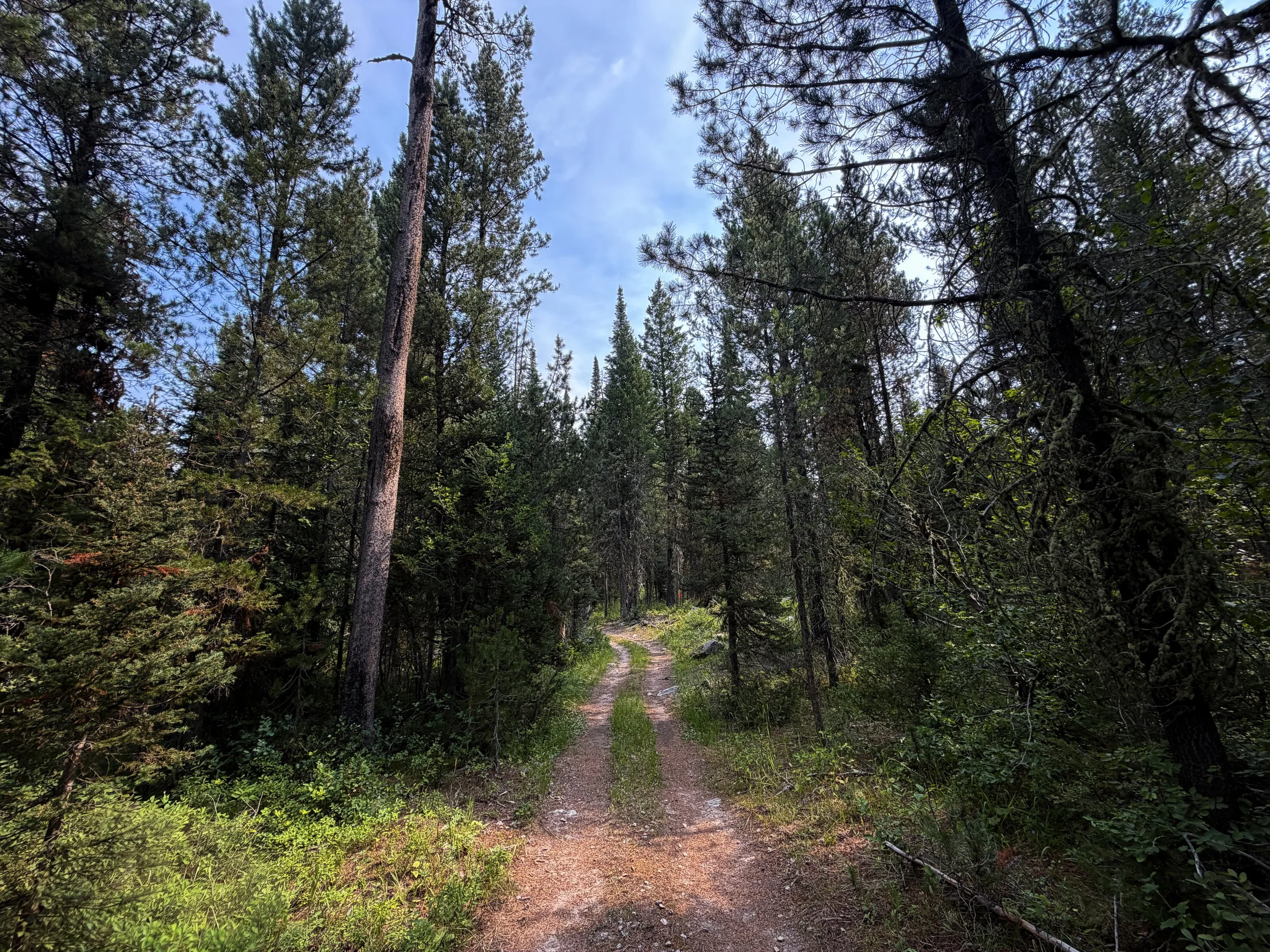 Aspen Ridge Trail Grand Teton National Park Wyoming