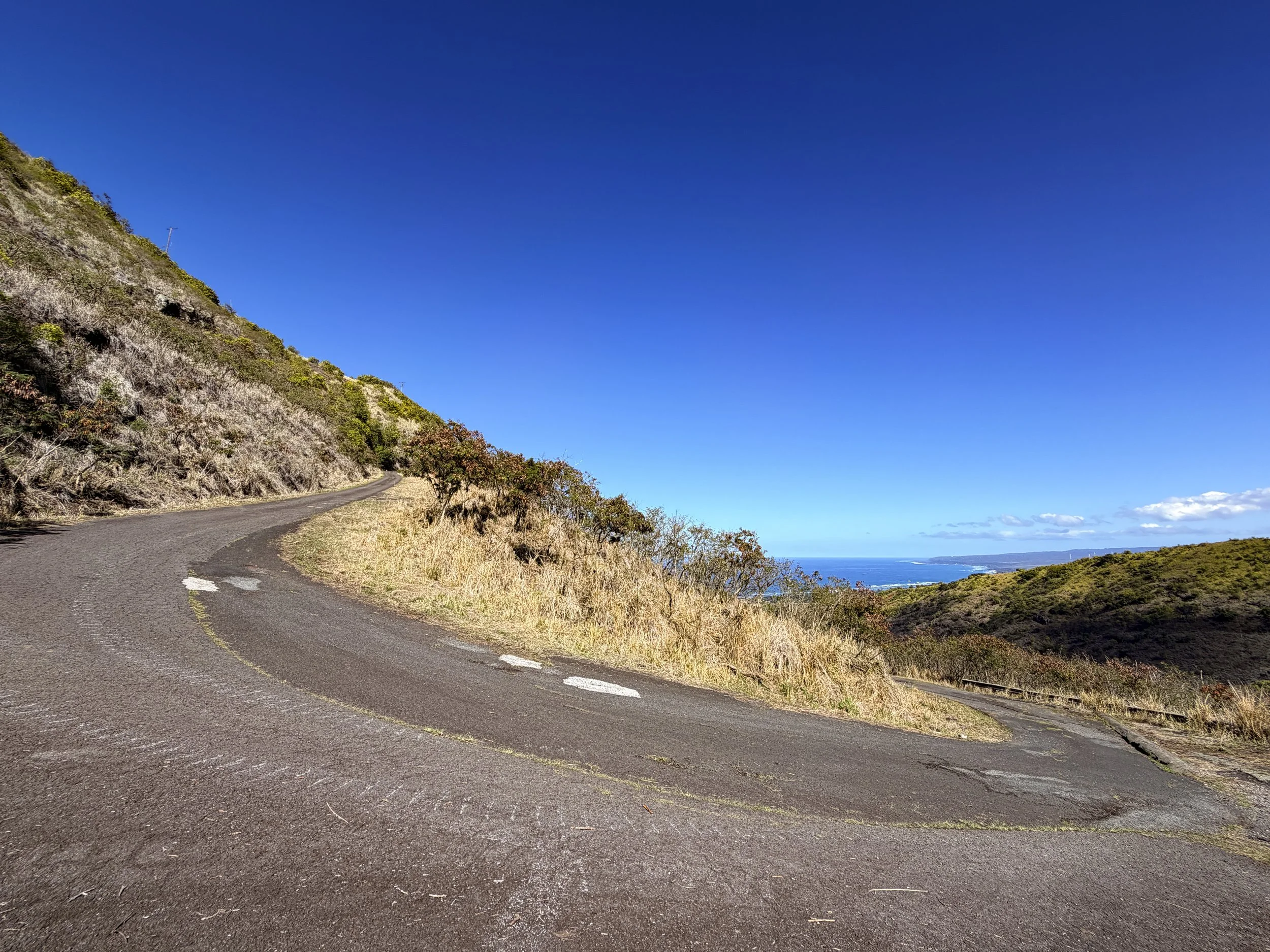 Mokuleia Forest Reserve Access Road Hike Oahu Hawaii
