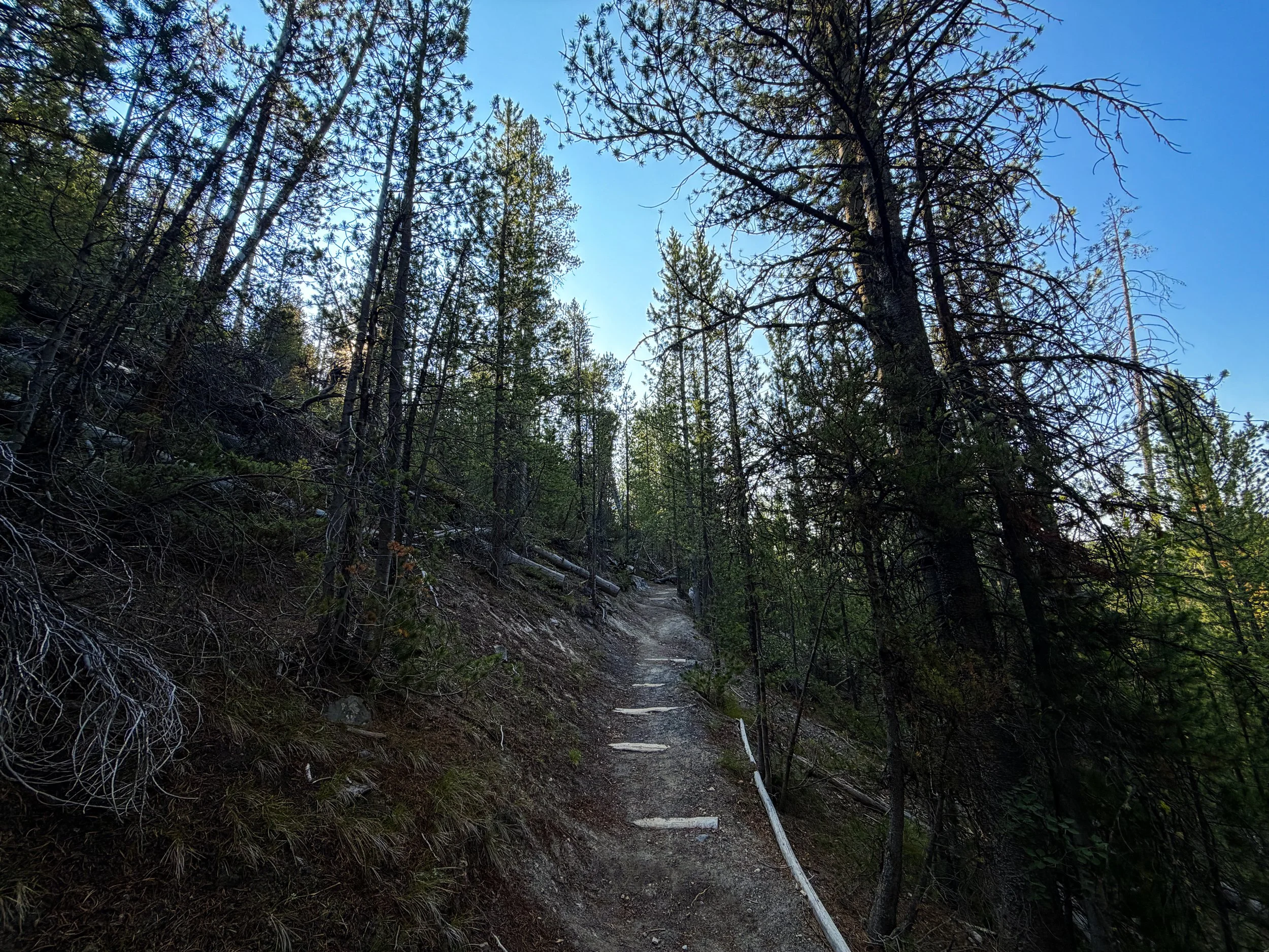 Natural Bridge Trail Yellowstone National Park Wyoming