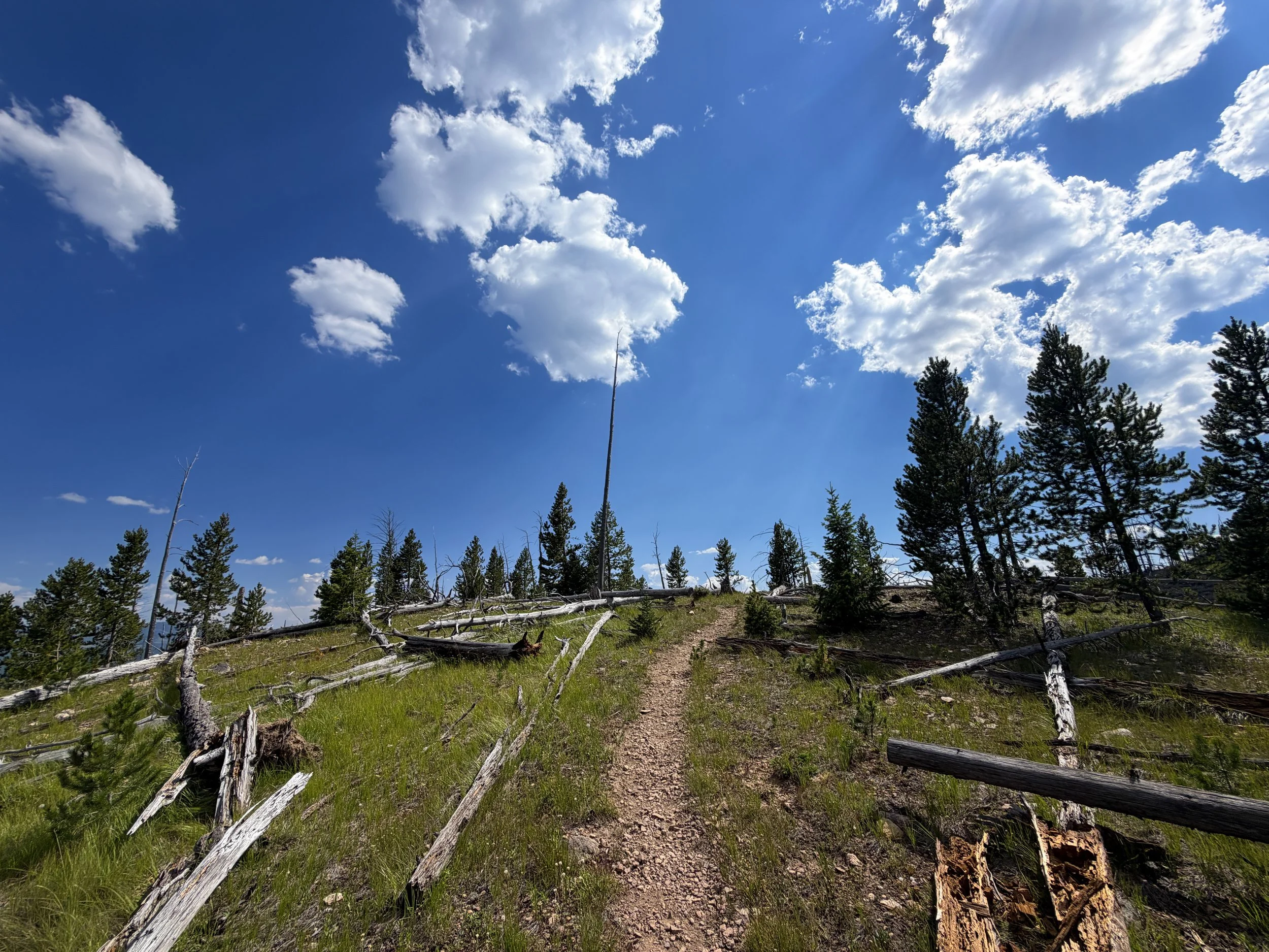 Bunsen Peak Trail Yellowstone National Park Wyoming