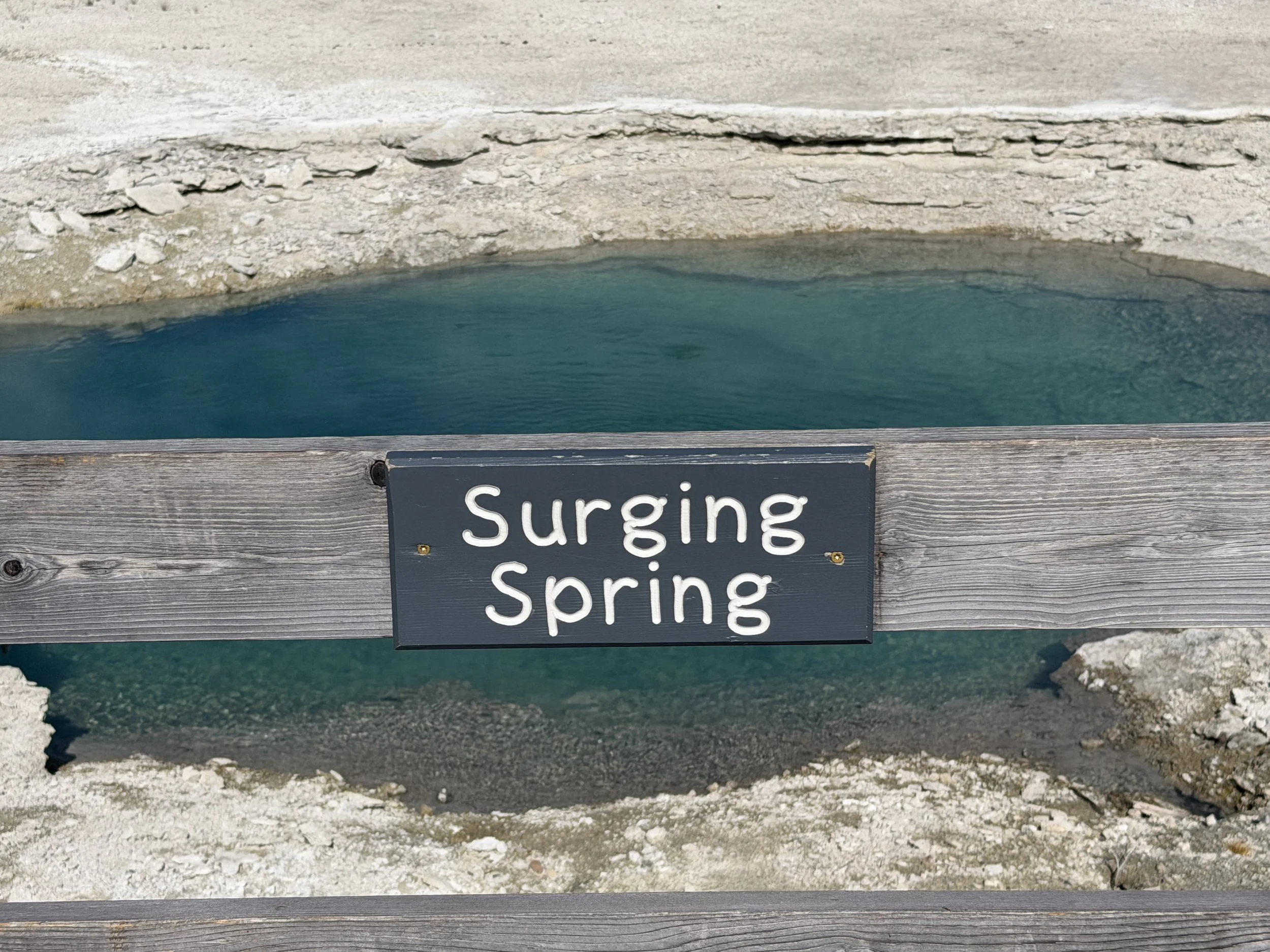 Surging Spring West Thumb Geyser Basin Trail Yellowstone National Park Wyoming