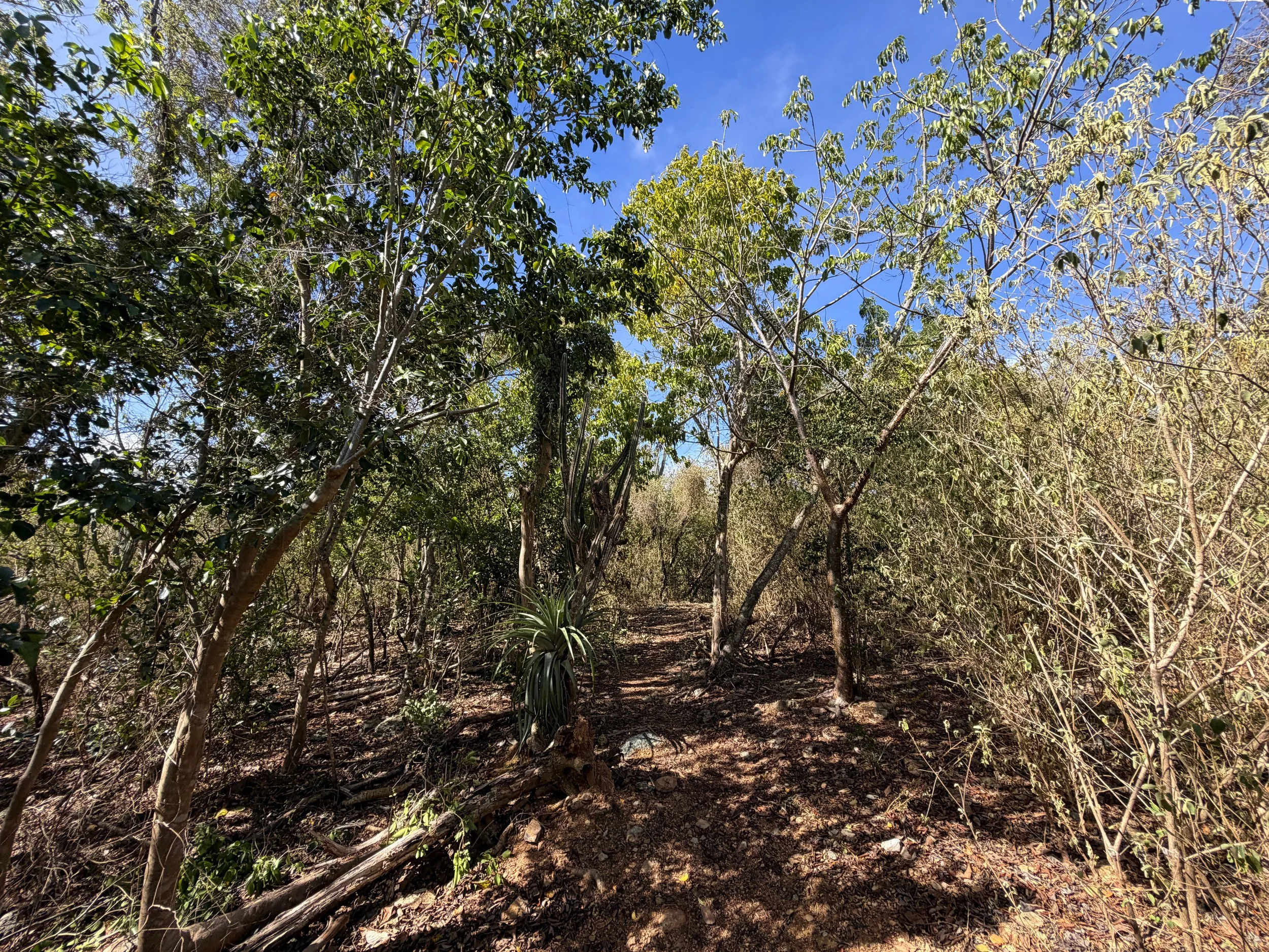Lameshur Bay Trail to Europa Point Virgin Islands National Park