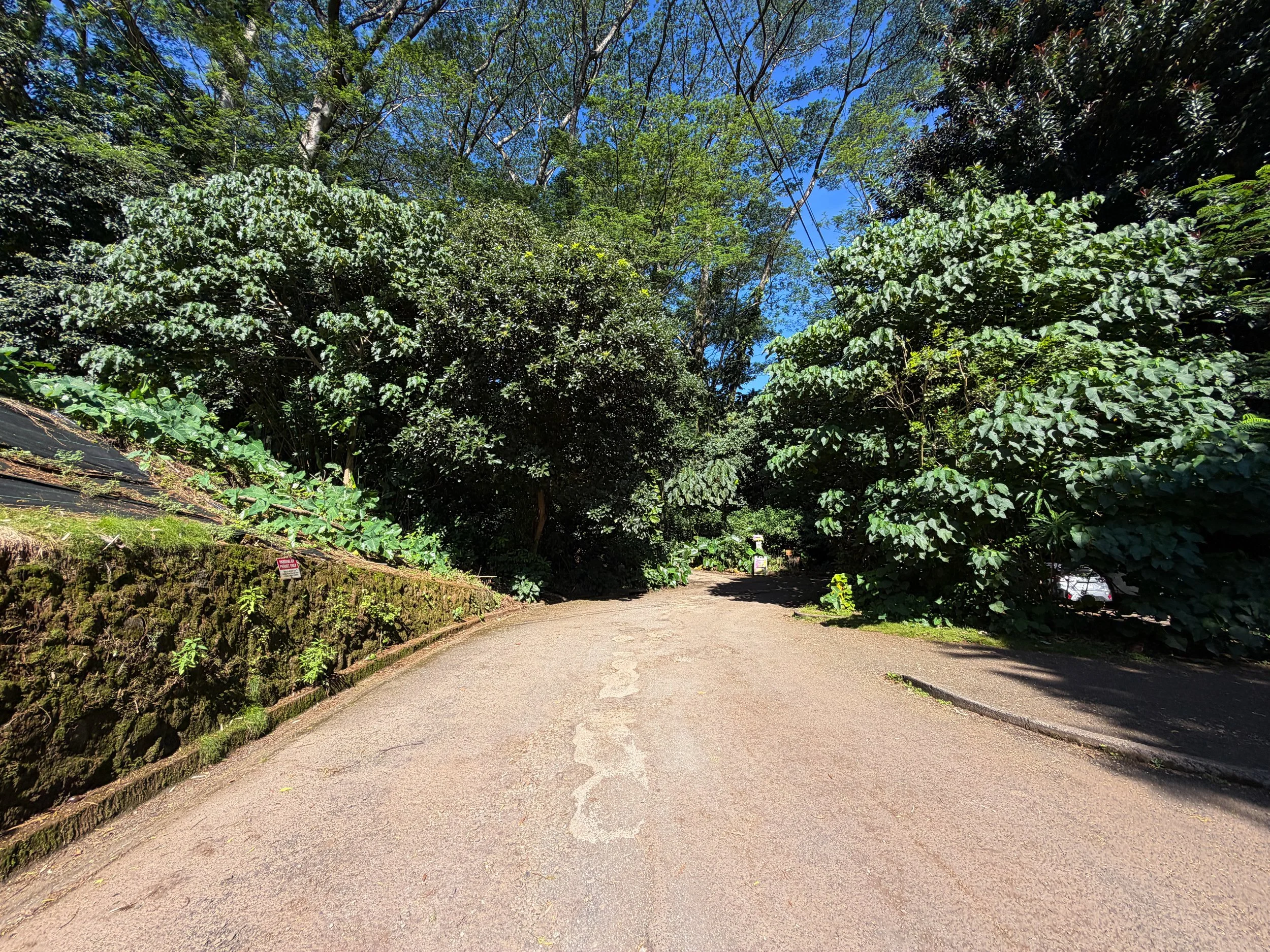 Manoa Falls Trailhead Oahu Hawaii