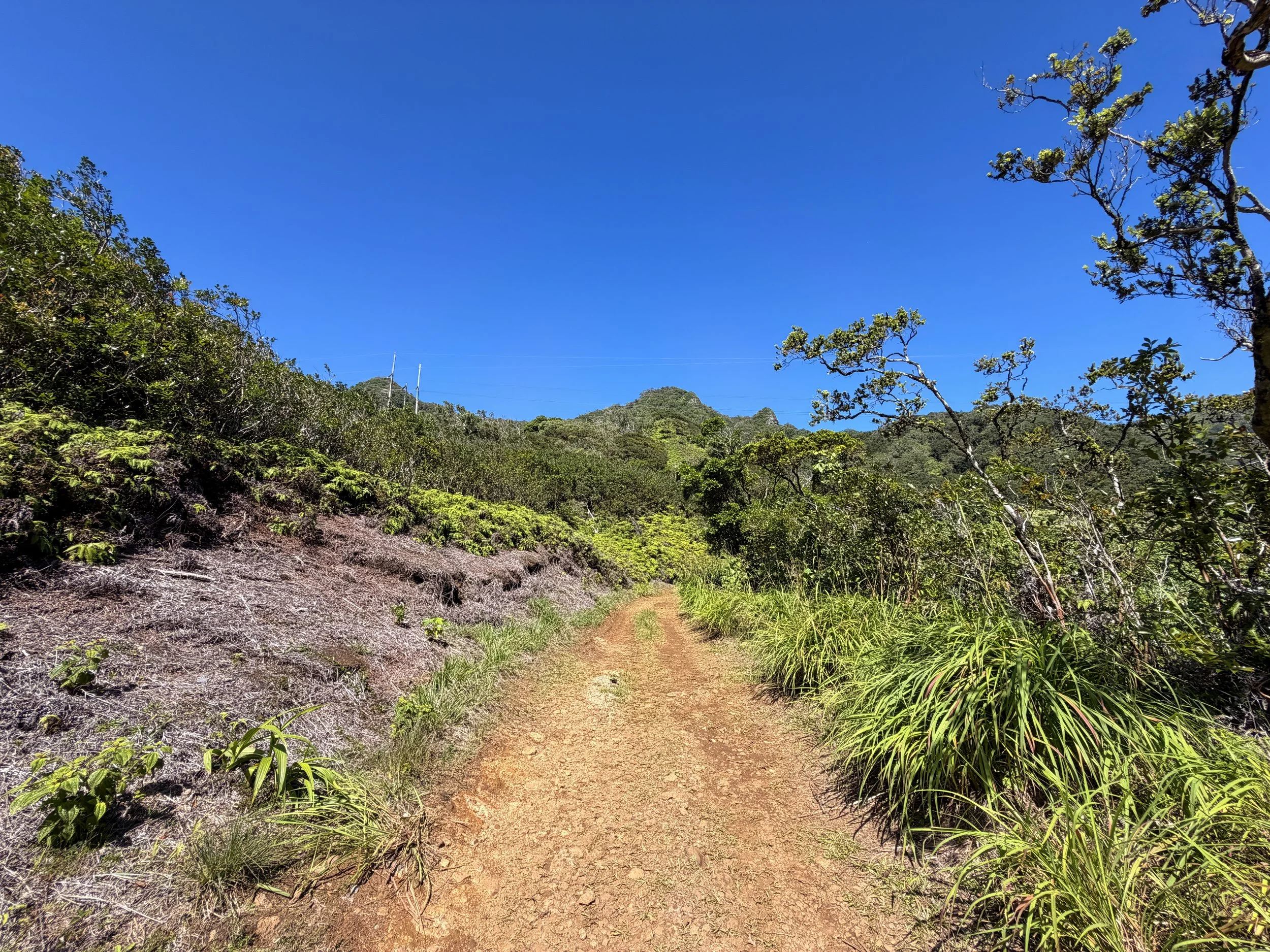 Kulanaahane Trail Moanalua Valley Oahu Hawaii