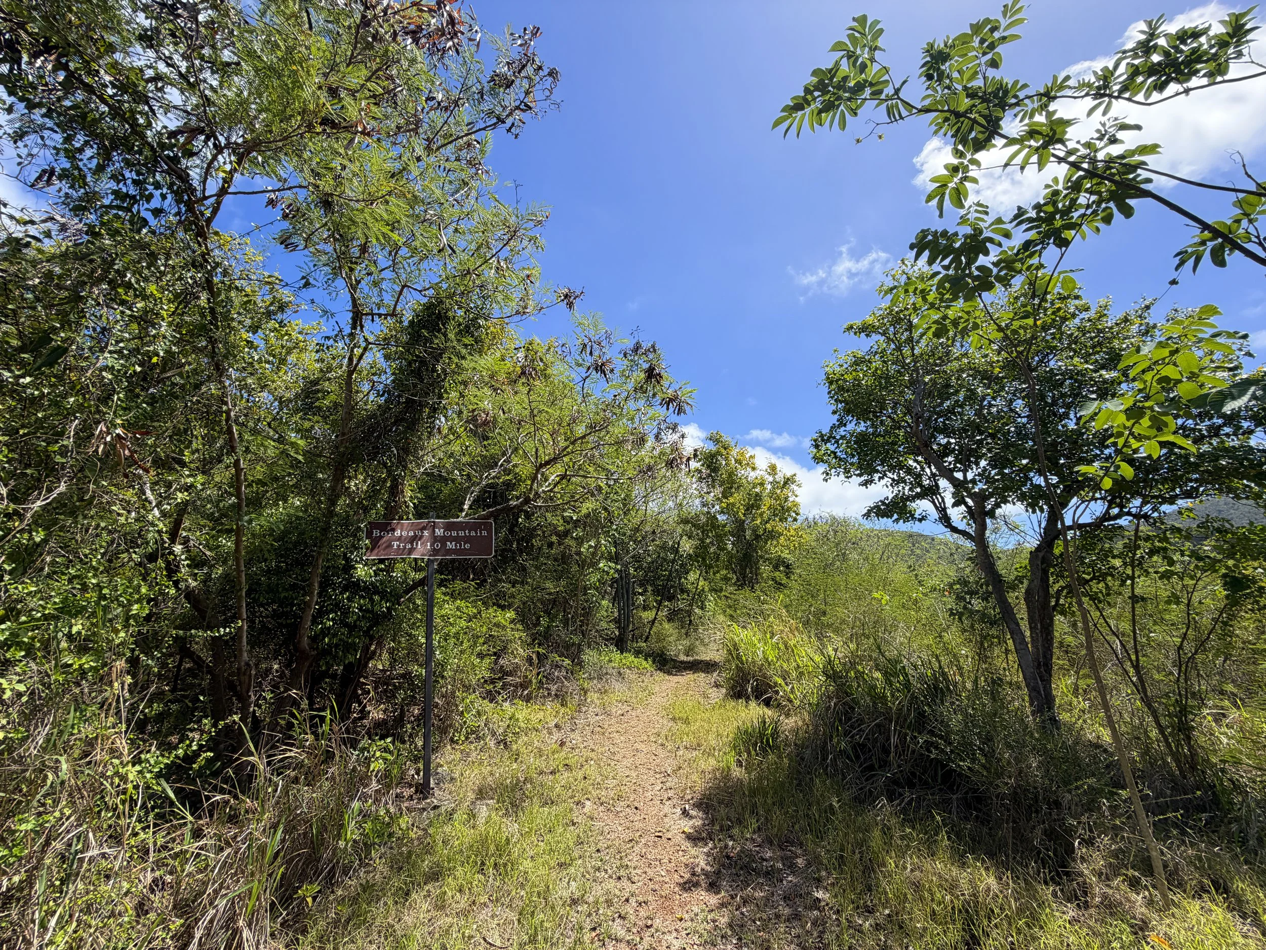 Bordeaux Mountain Trailhead Virgin Islands National Park