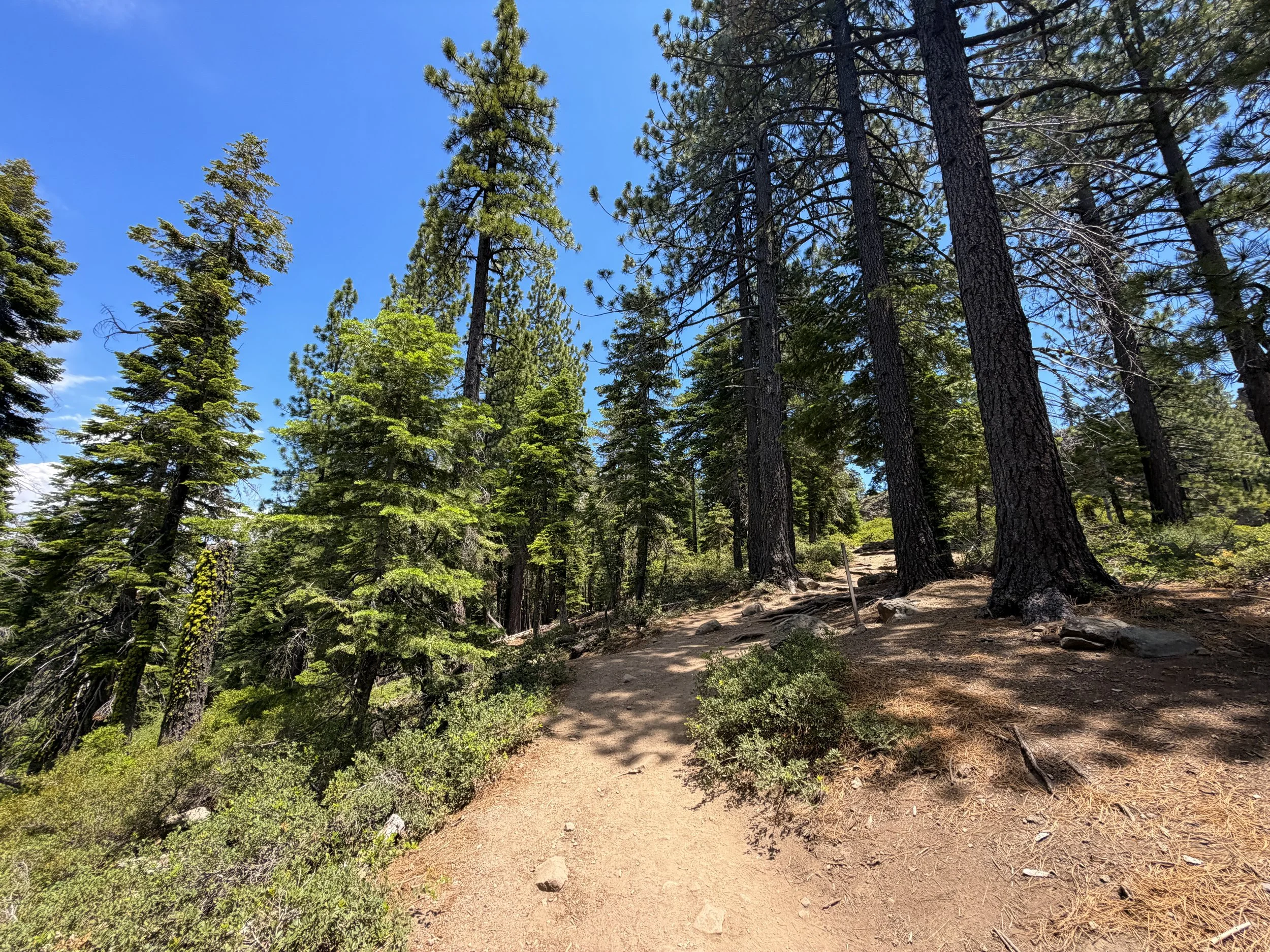 Eagle Rock Hike Lake Tahoe California