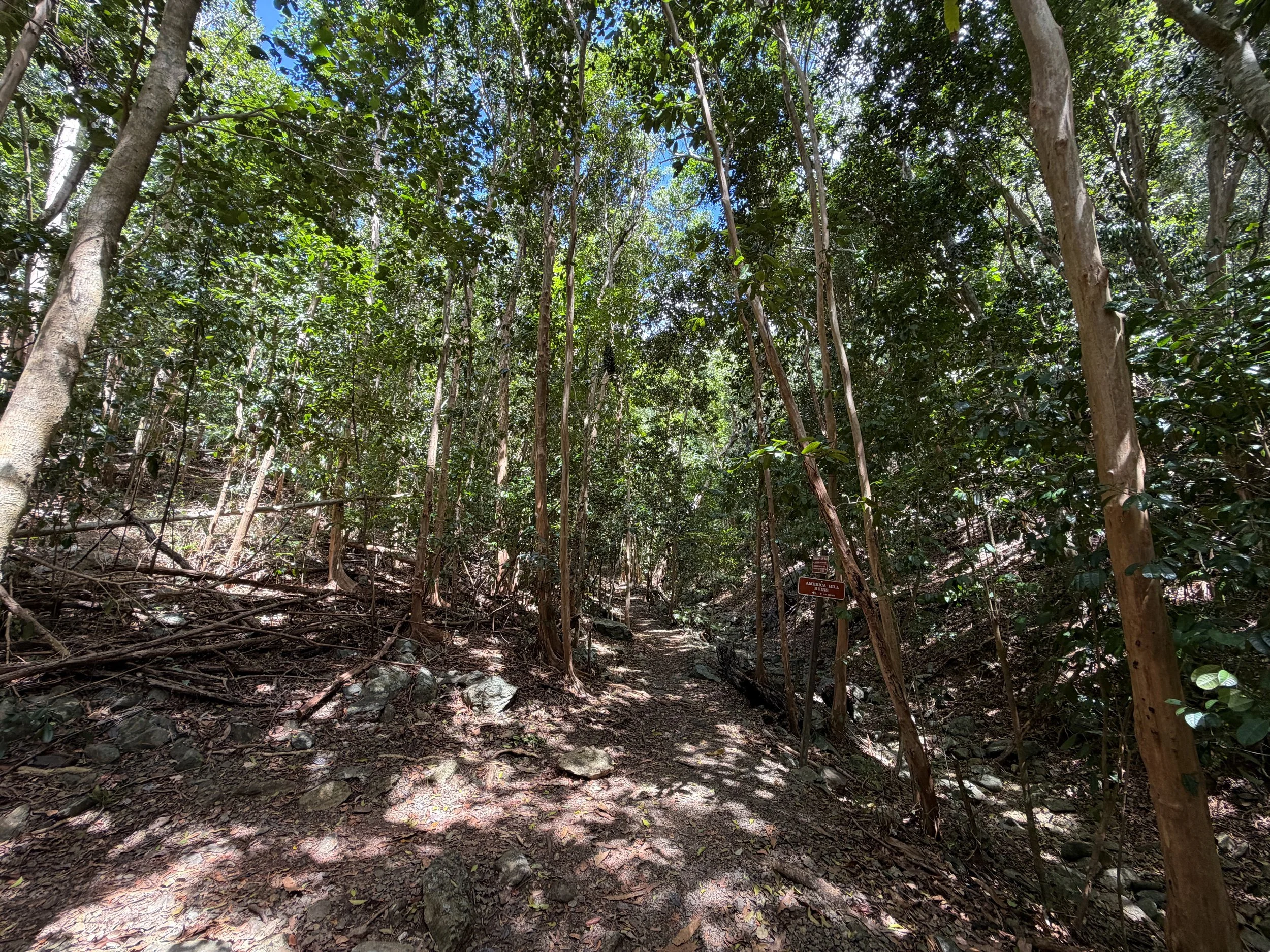 Cinnamon Bay Trail Virgin Islands National Park