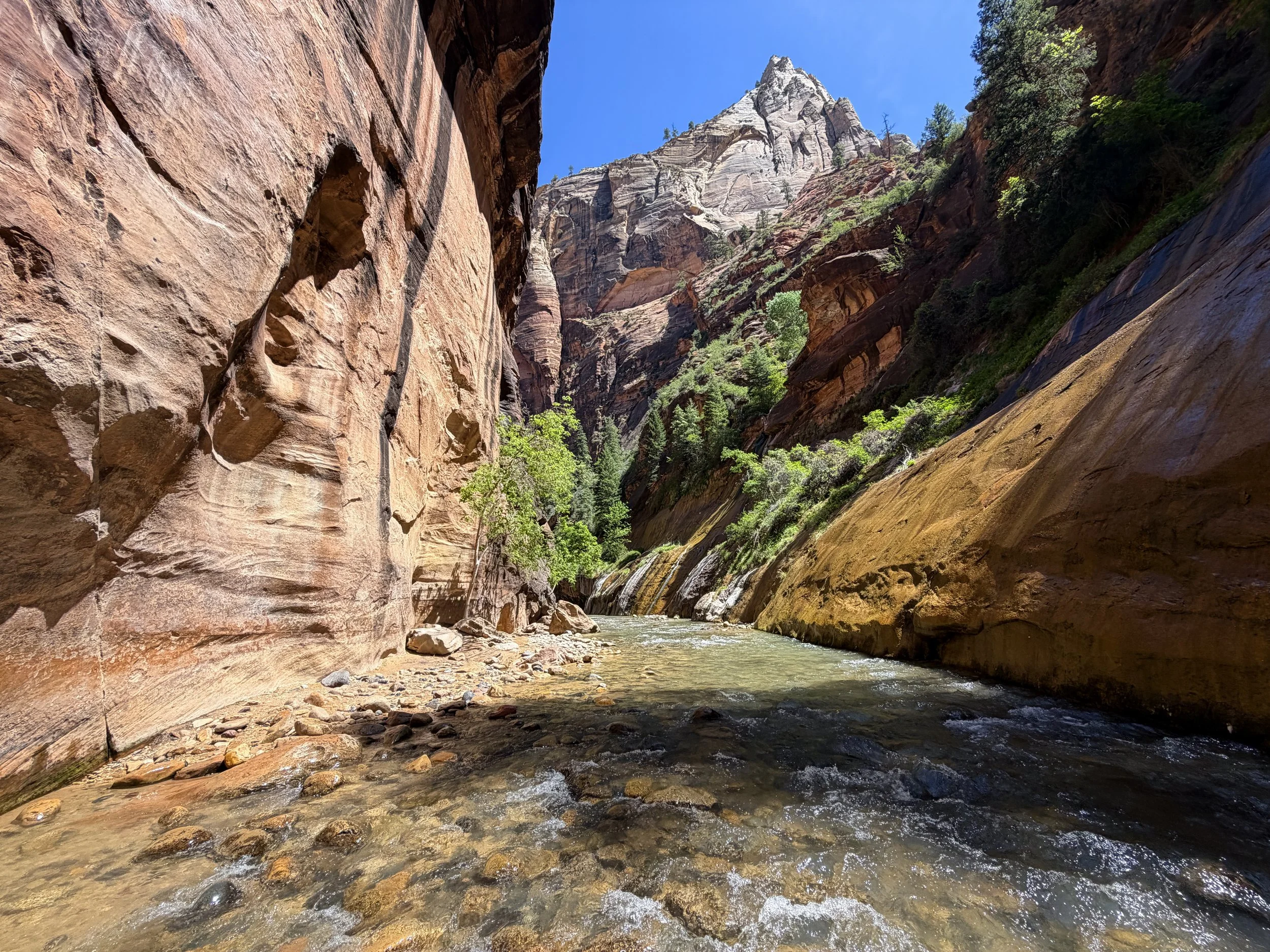 Narrows Hike Zion National Park Utah