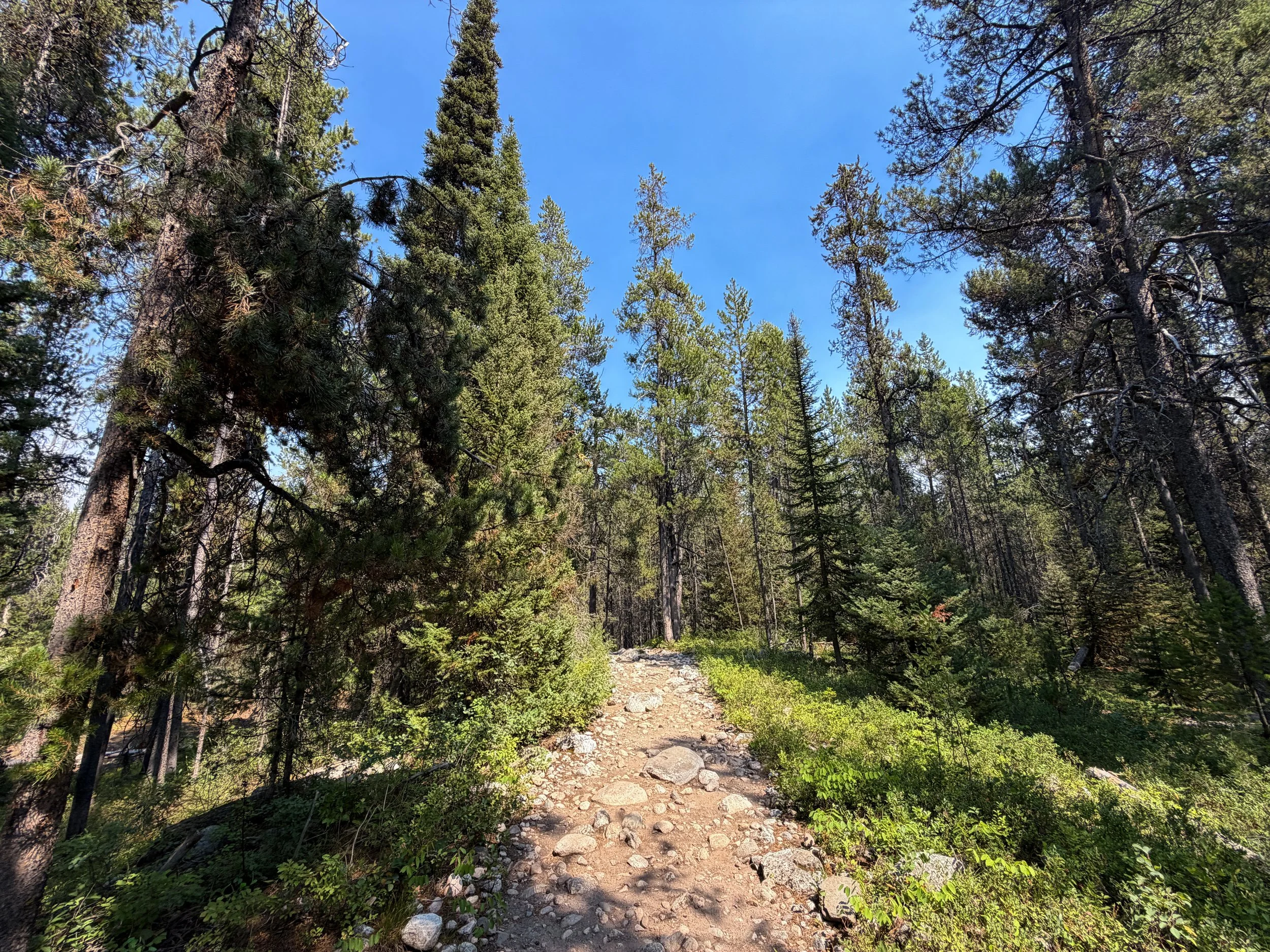 Phelps Lake Loop Trail Grand Teton National Park Wyoming