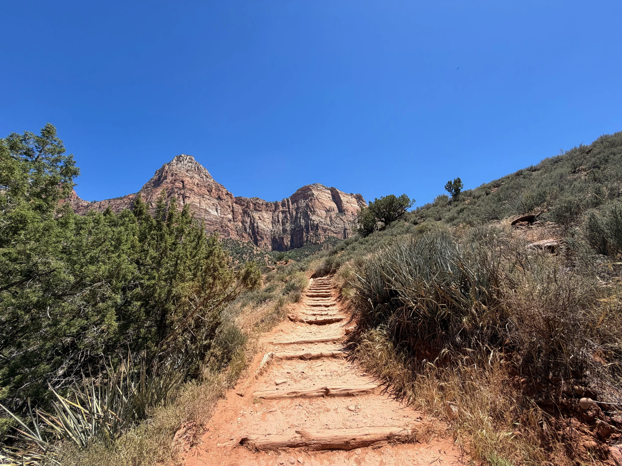 Watchman Trail Zion National Park Utah
